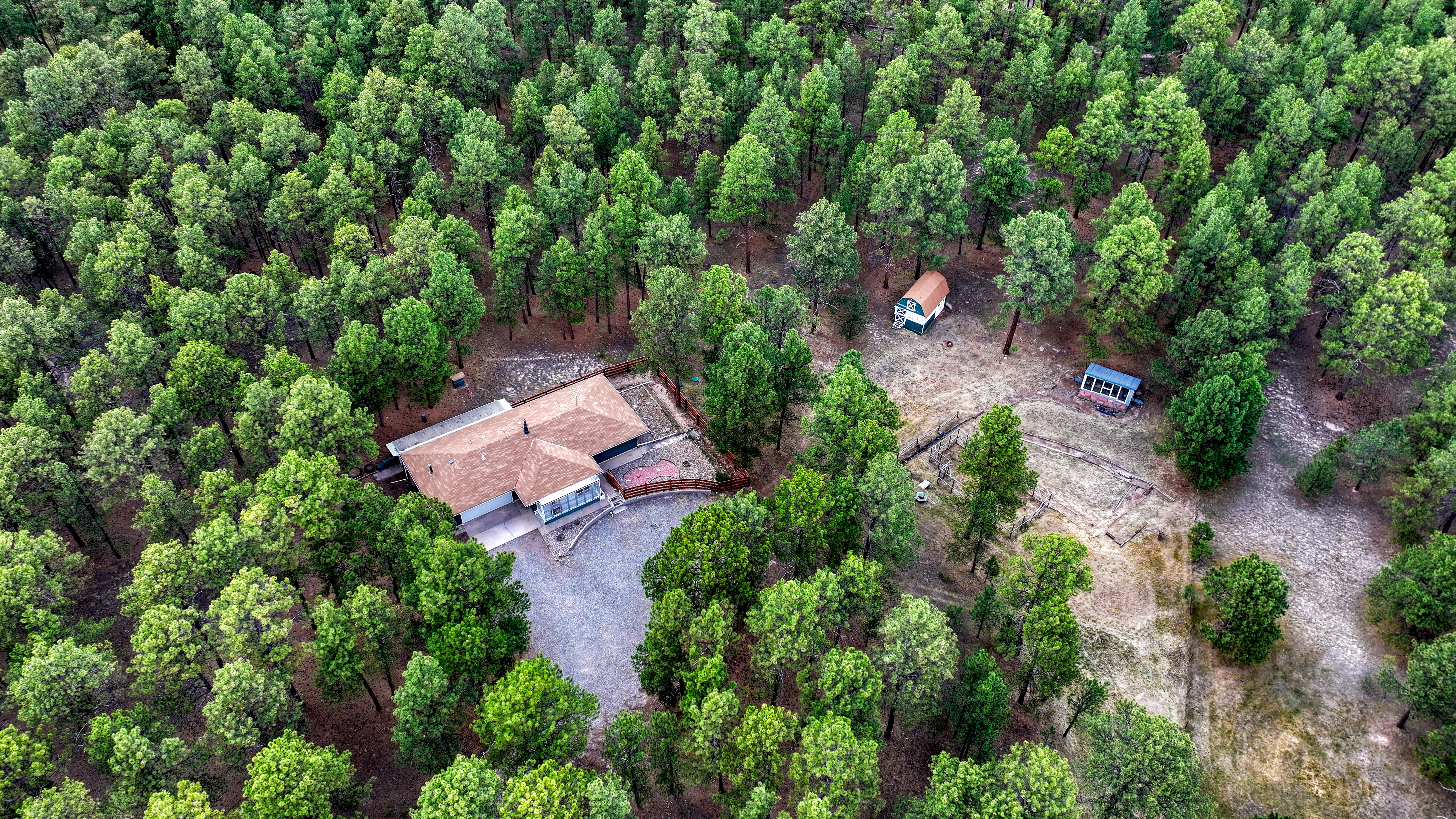  Meticulously maintained ranch-style home in sought-after Black Forest - 物件實景