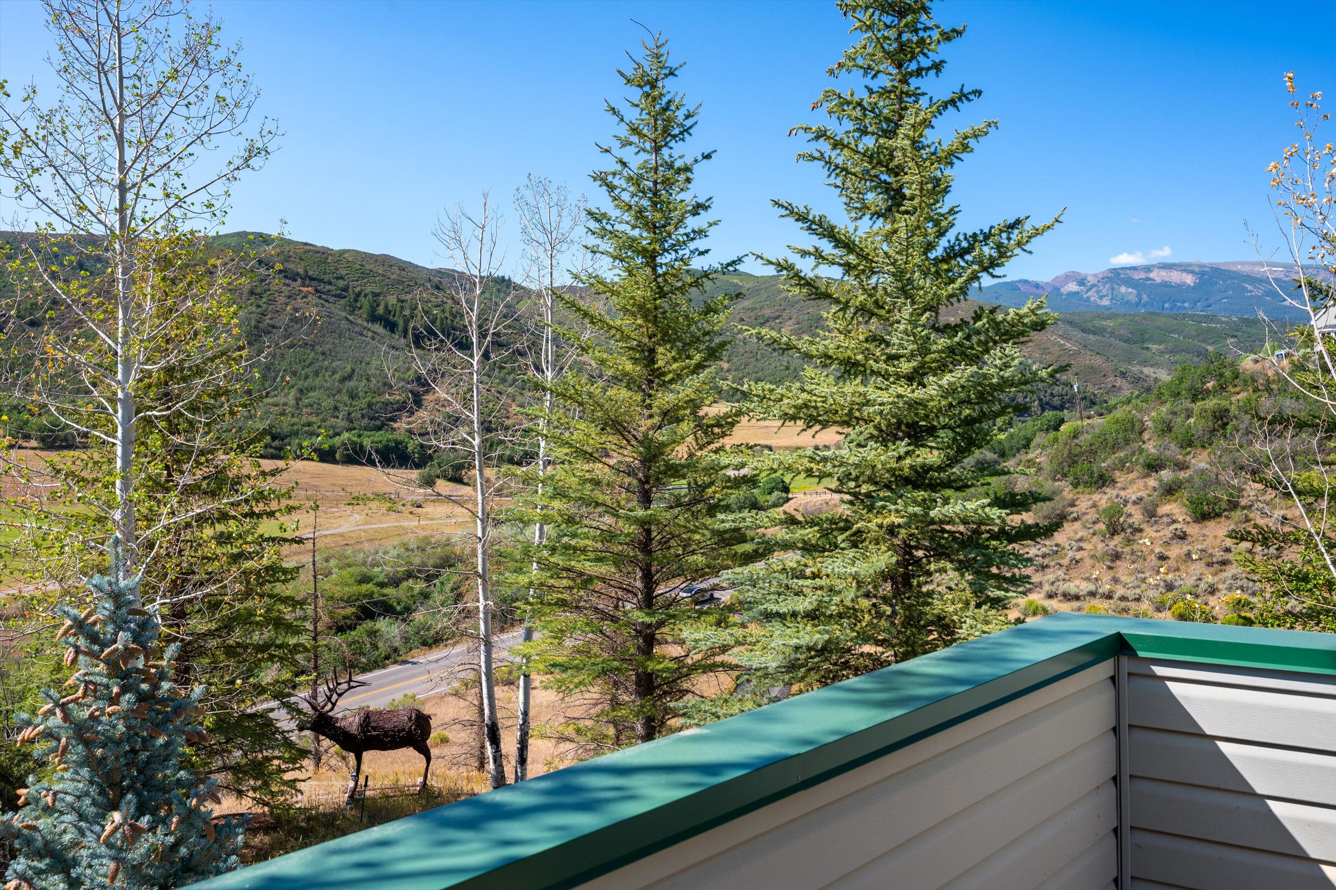  Two Private Acres in Brush Creek Village - 物件實景