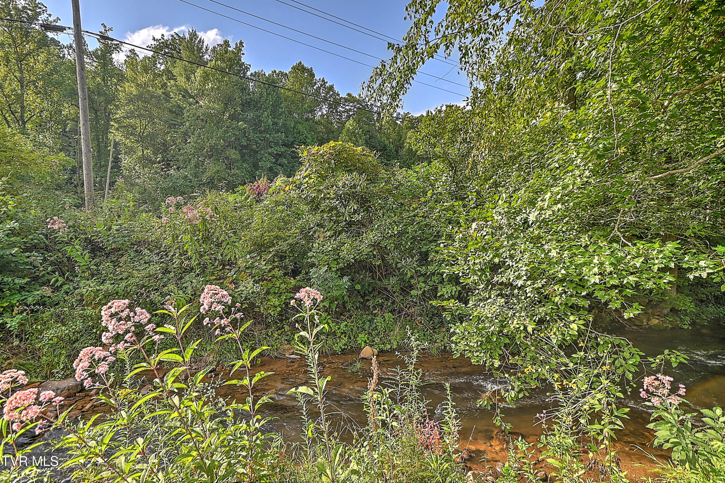 Greeneville, Tennessee, 37743, United States, 4 Bedrooms Bedrooms, ,3 BathroomsBathrooms,Residential,For Sale,1976358