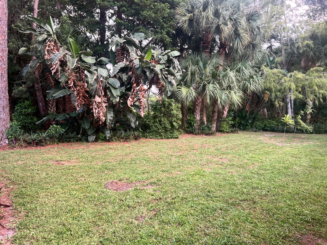 West Palm Beach, Florida, 33411, United States, 3 Bedrooms Bedrooms, ,2 BathroomsBathrooms,Residential,For Sale,1944937