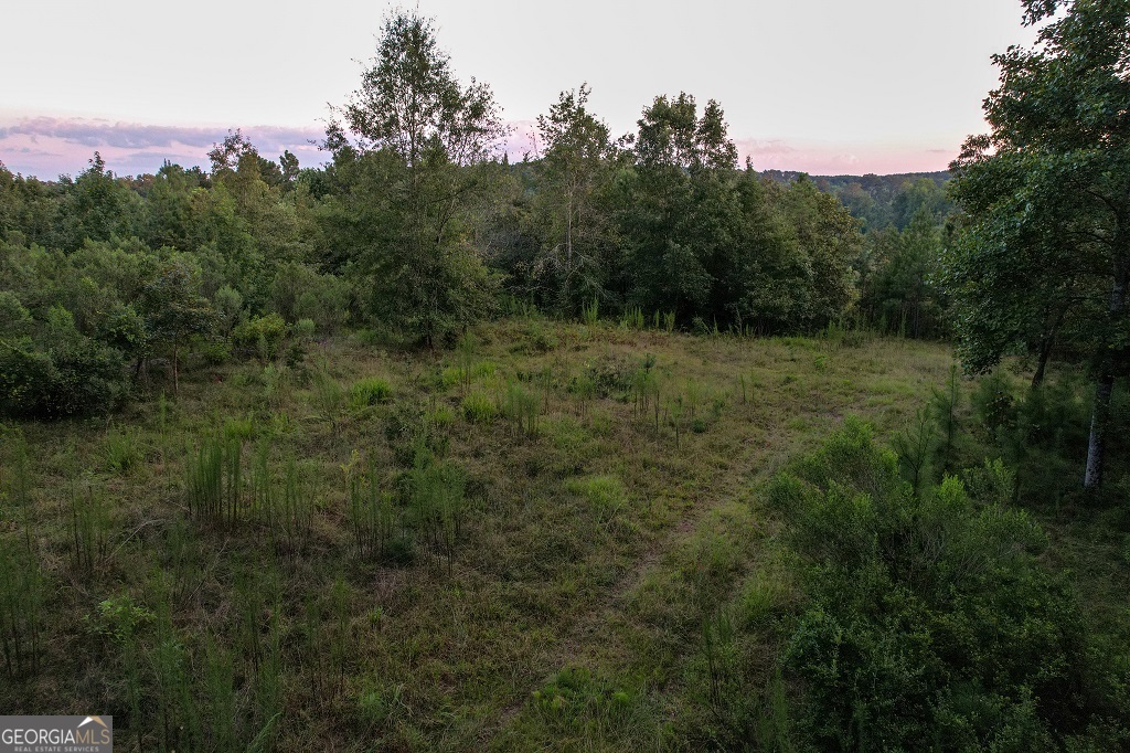 Bowman, Georgia, 30624, United States, ,Land,For Sale,1988197