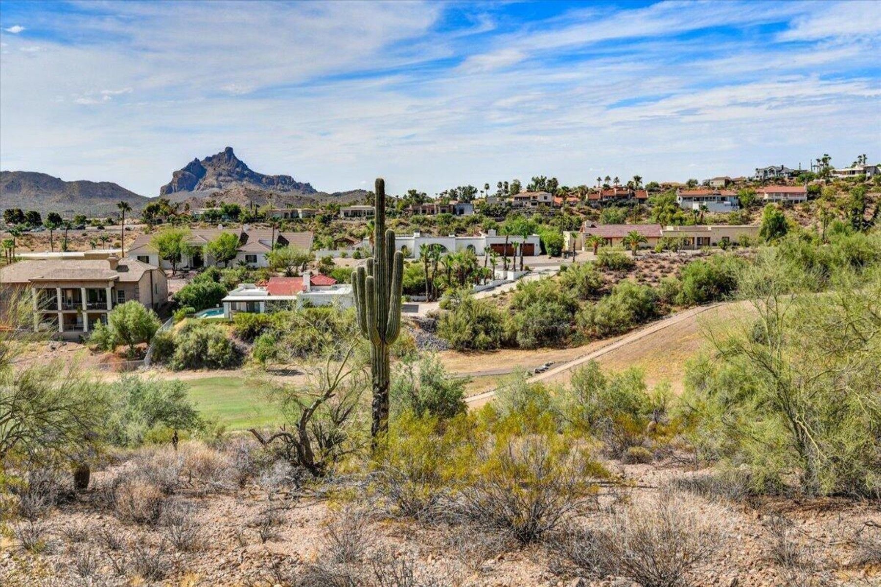  10806 N Cherry Hills Court¦Fountain Hills, AZ - 物件實景