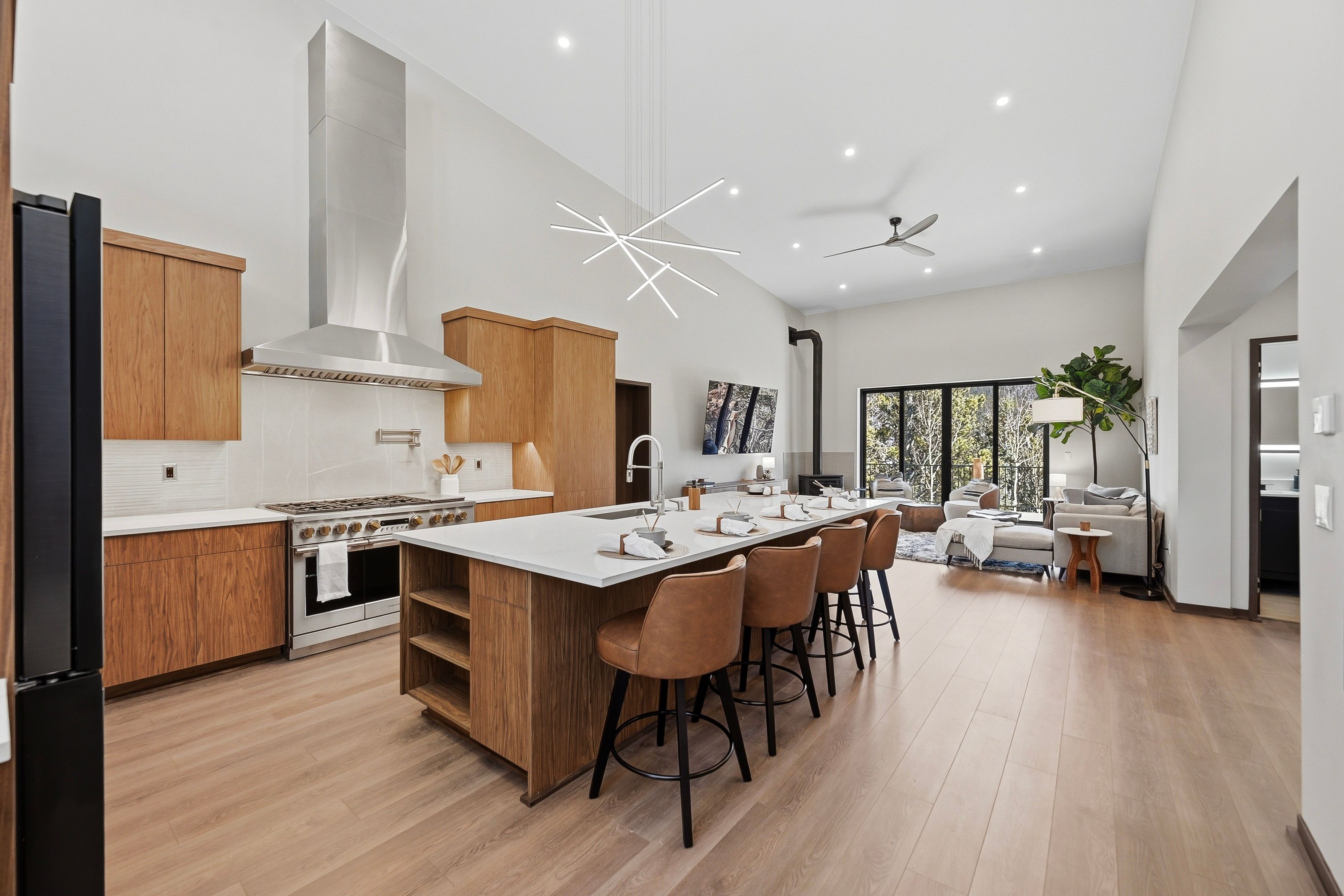  410 N Aspen Street, Alma, CO, 80420 - 物件實景