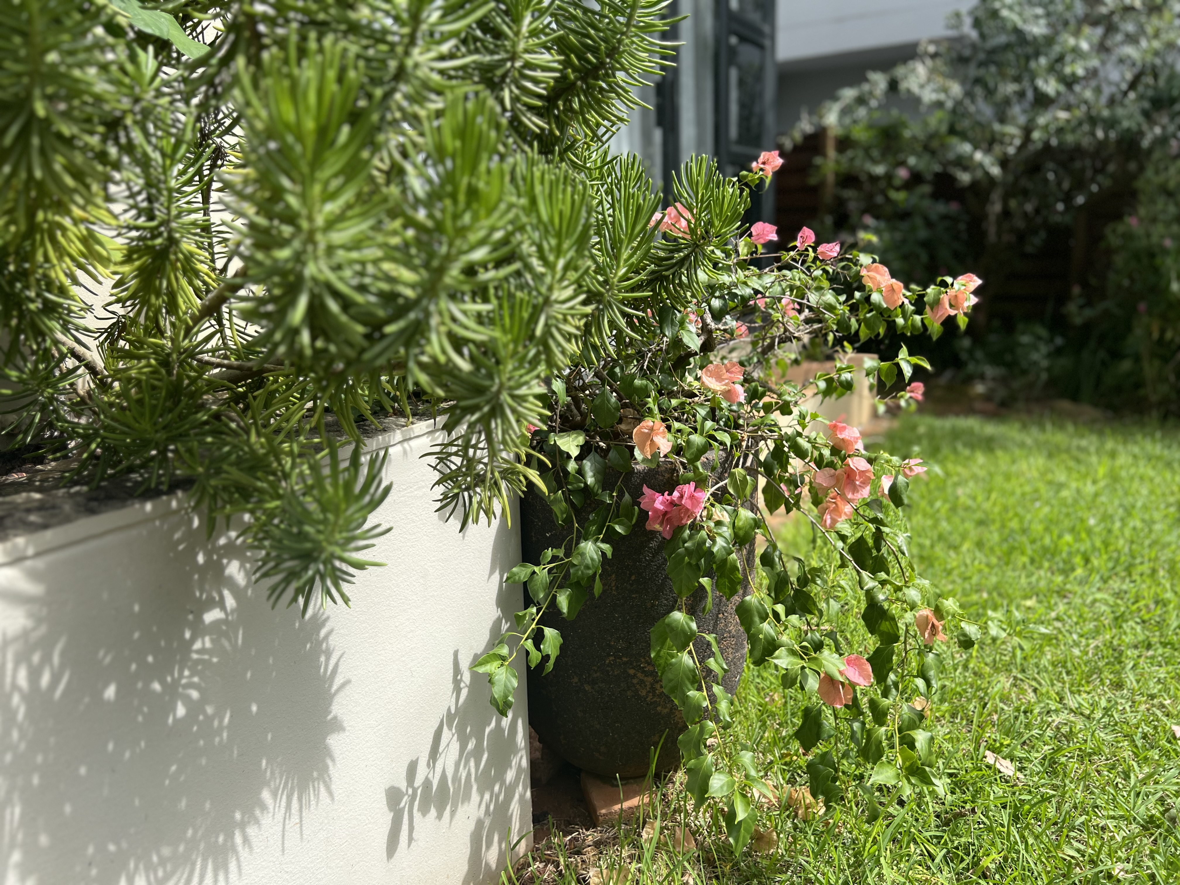  Meticulously maintained home with thoughtfully curated living spaces - 物件實景