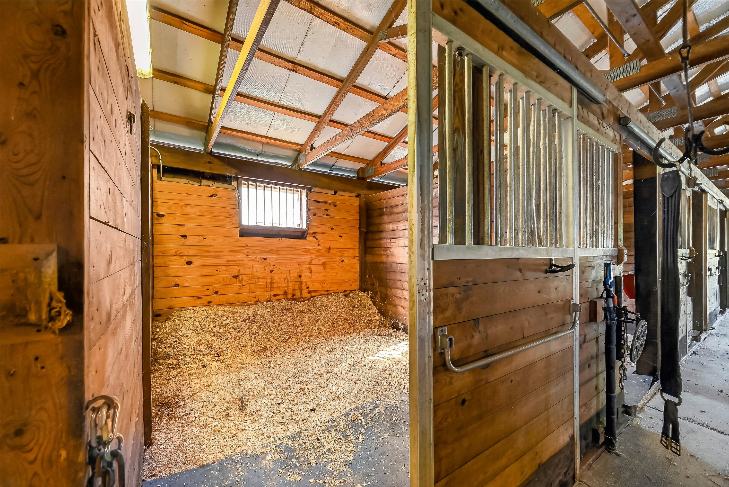  Bucolic Equine Estate - 物件實景
