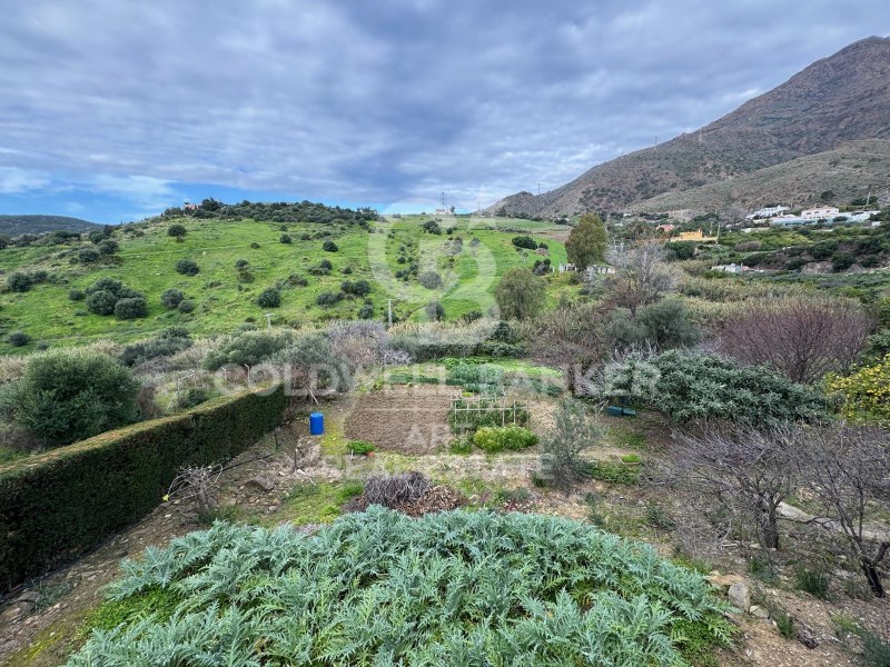 Estepona, Andalusia, ES, 4 Bedrooms Bedrooms, ,1 BathroomBathrooms,Residential,For Sale,1806484