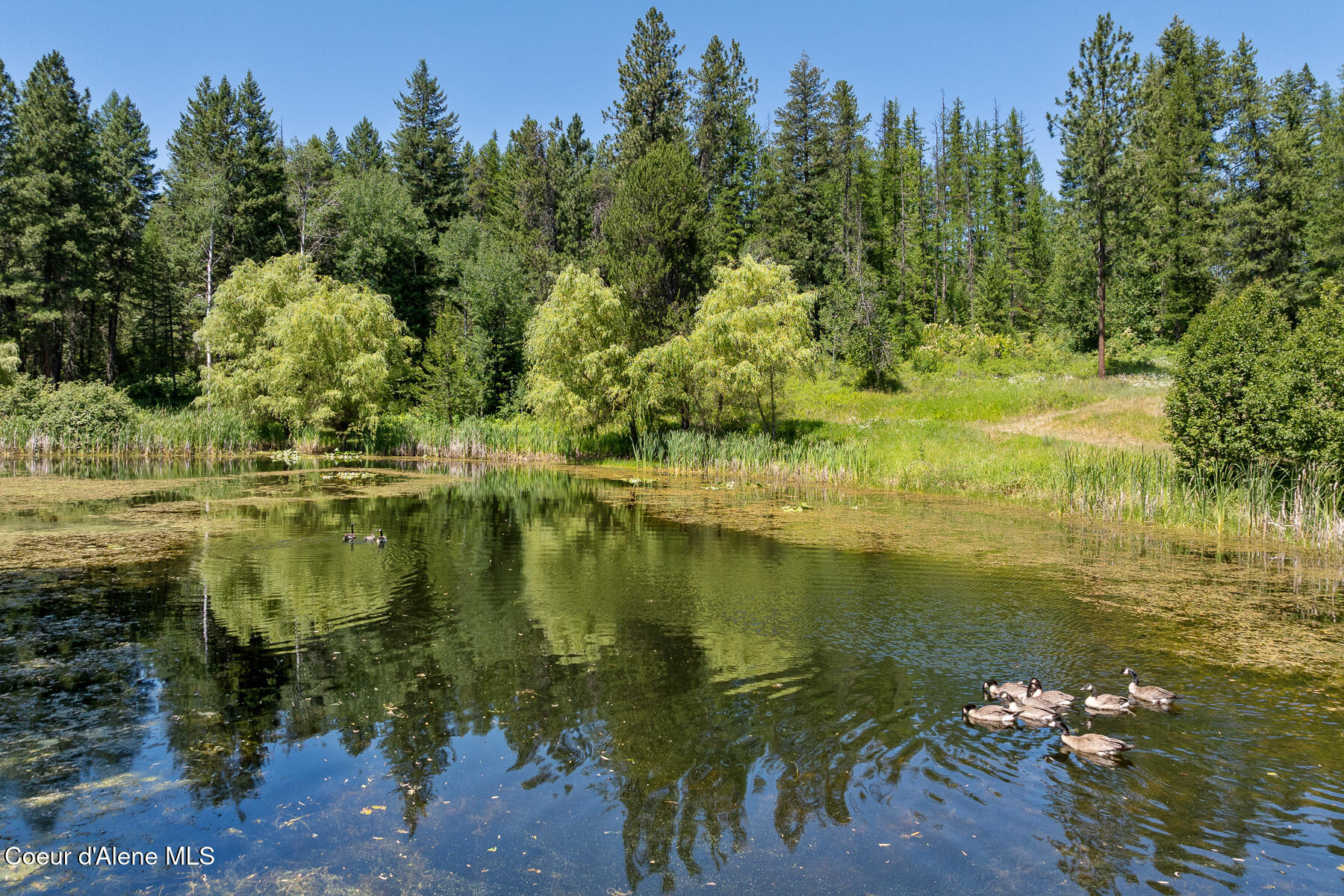 Athol, Idaho, 83801, United States, 4 Bedrooms Bedrooms, ,5 BathroomsBathrooms,Residential,For Sale,1975207