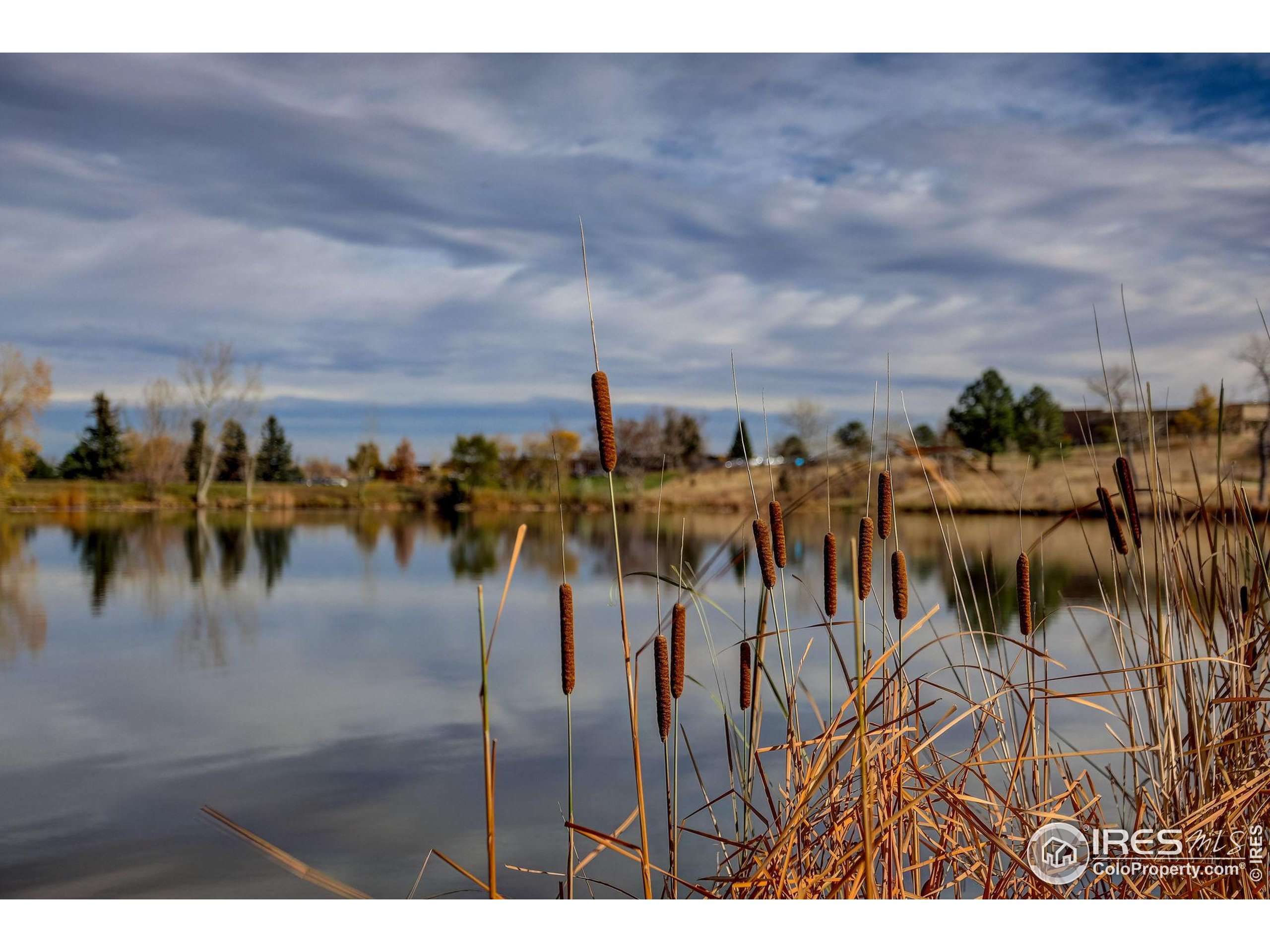 Boulder, Colorado, 80305, United States, 4 Bedrooms Bedrooms, ,1 BathroomBathrooms,Residential,For Sale,1989677