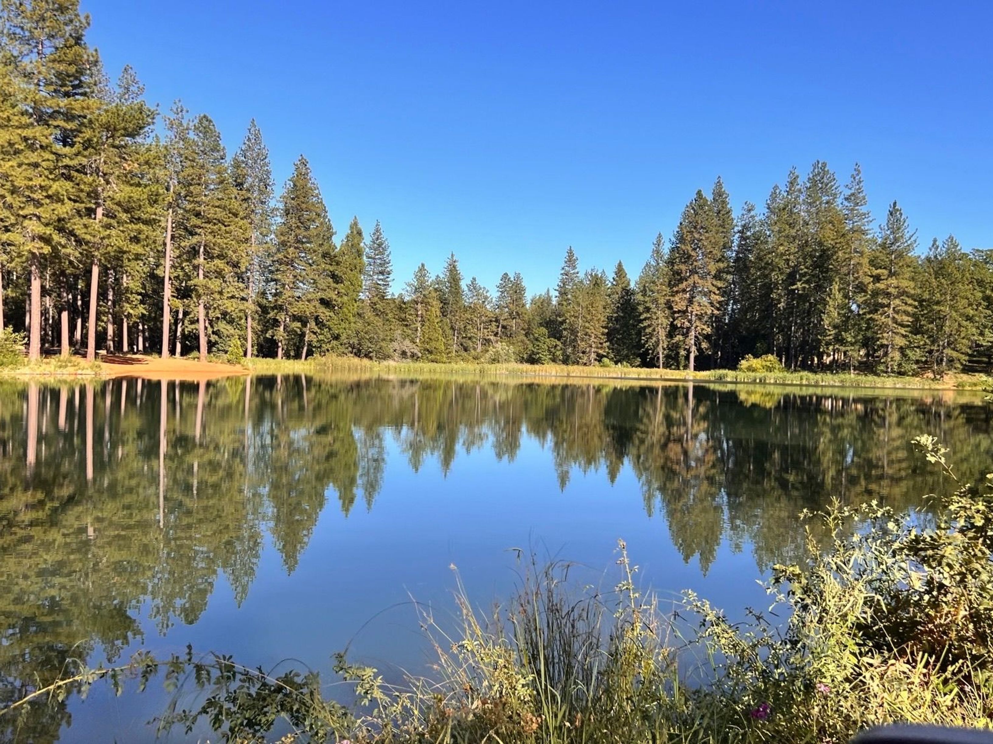  5199 Roquero Cerro Road, Greenwood, CA 95635 - 物件實景
