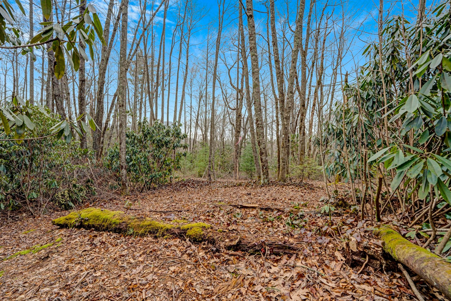  Lot 21 Hardscrabble Ridge Road - 物件實景