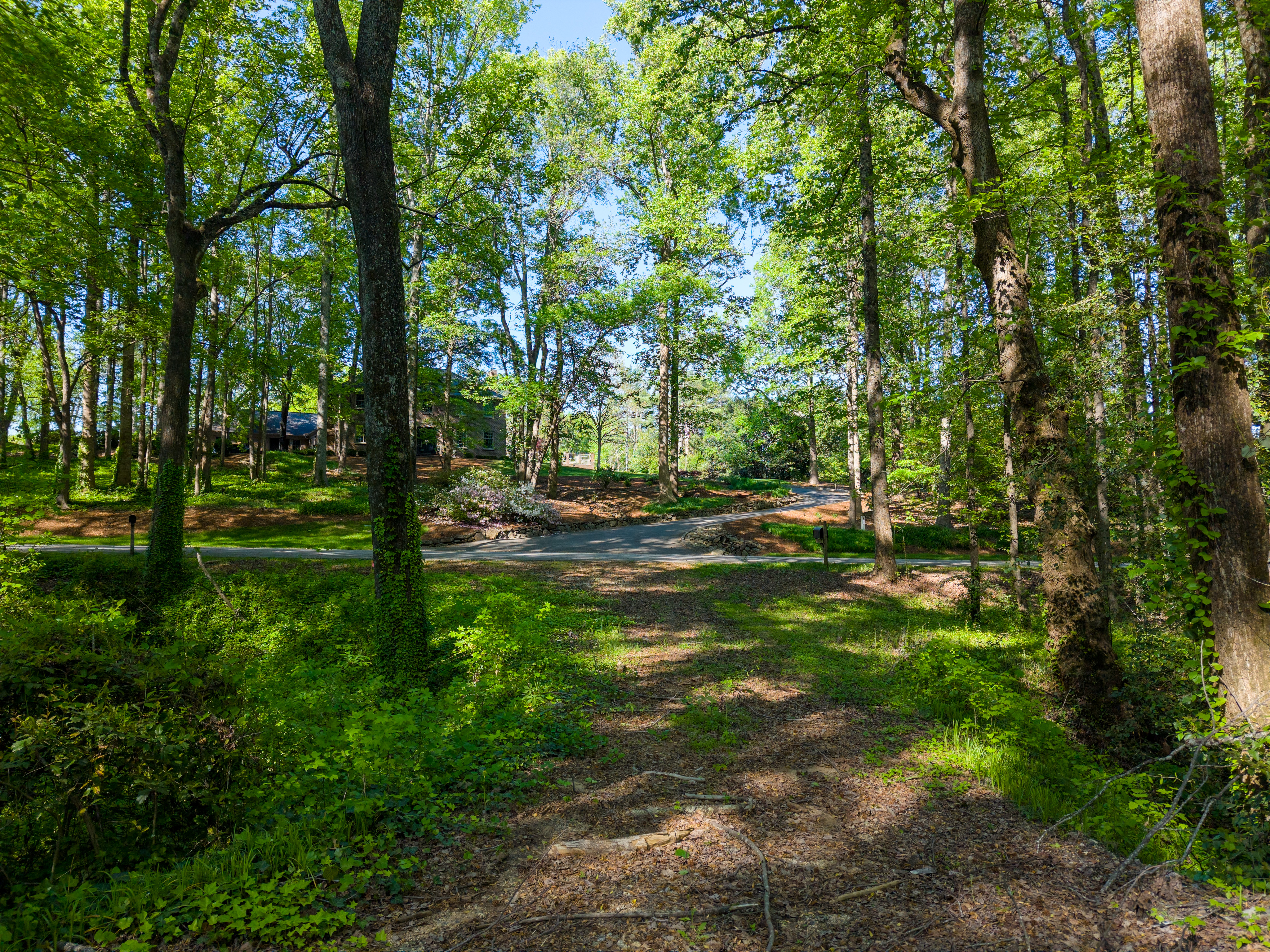 6 Stratton Place, Greenville, SC 29615 - 物件實景