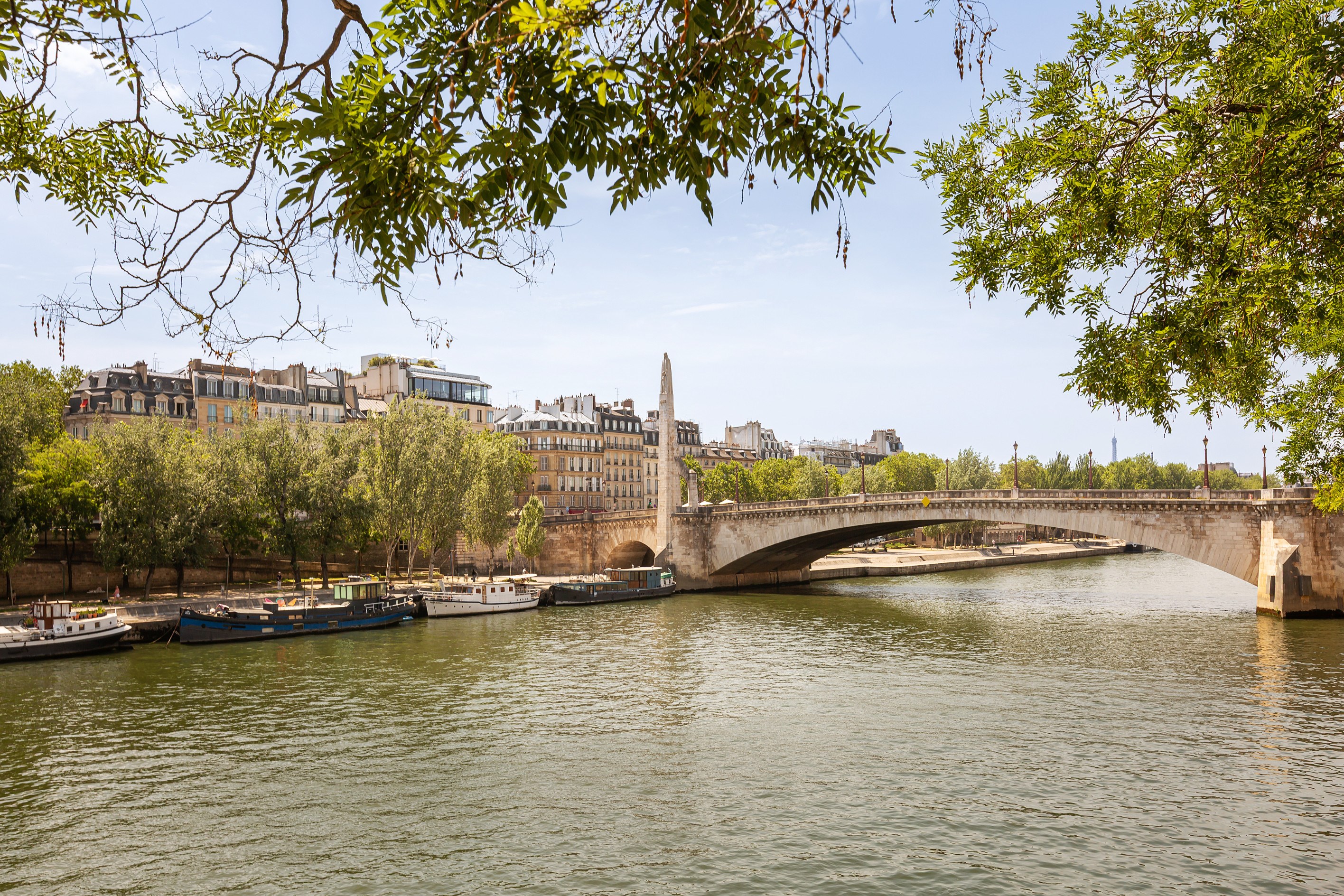  2 bedroom renovated apartment on Île-Saint-Louis - 物件實景