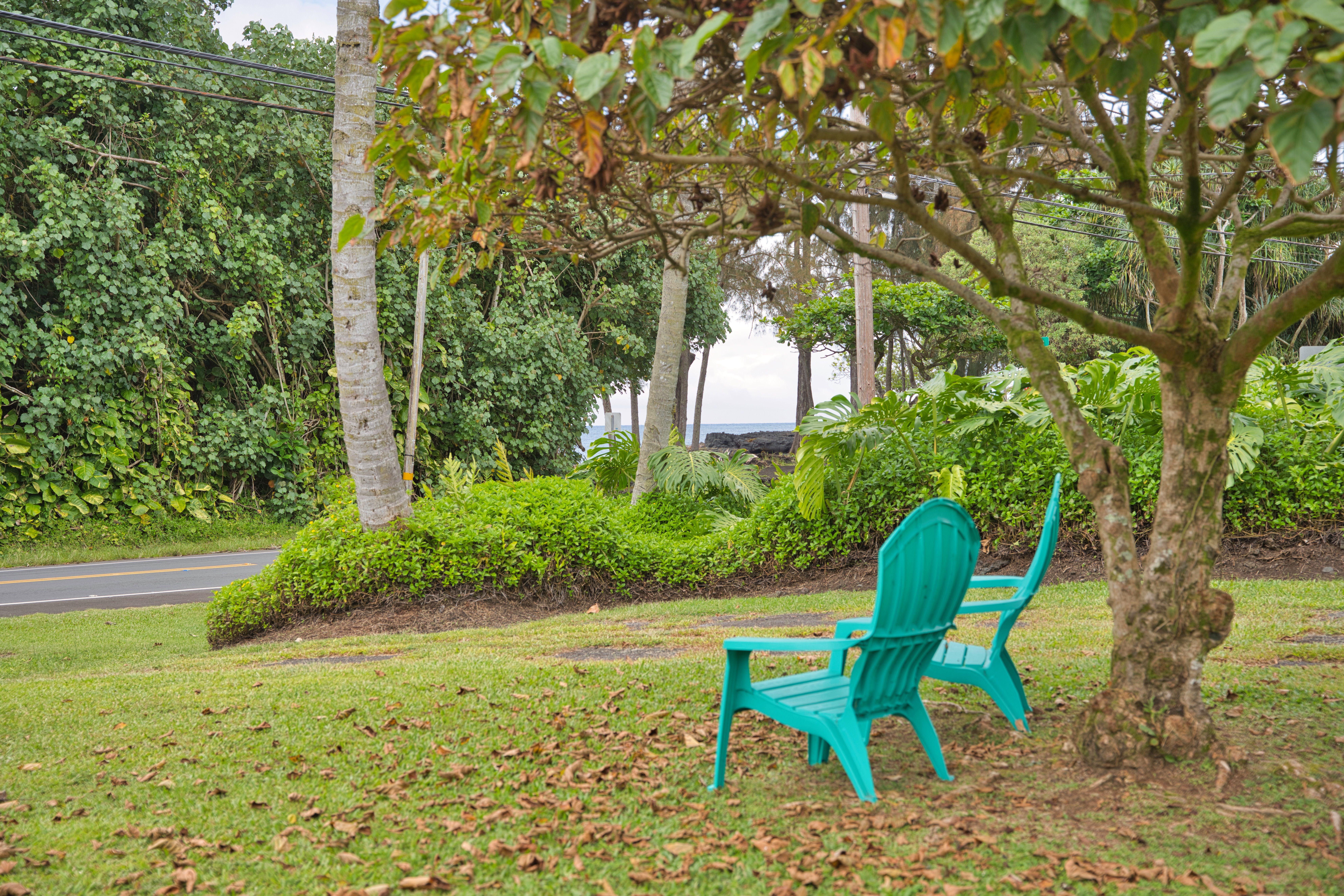  2070 Kalanianaole St, Hilo, HI, 96720 - 物件實景