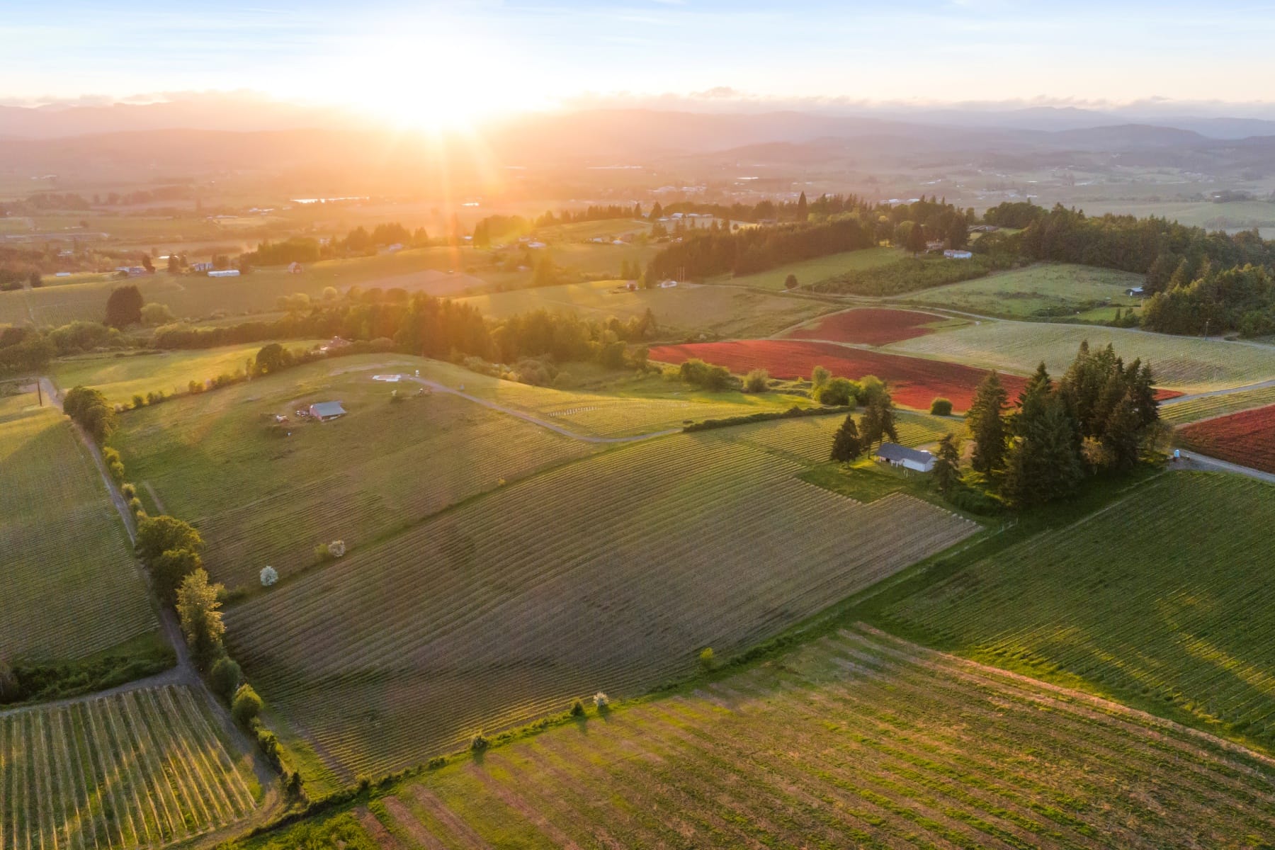  8810 NE BLACKBURN RD Yamhill, OR 97148 - 物件實景