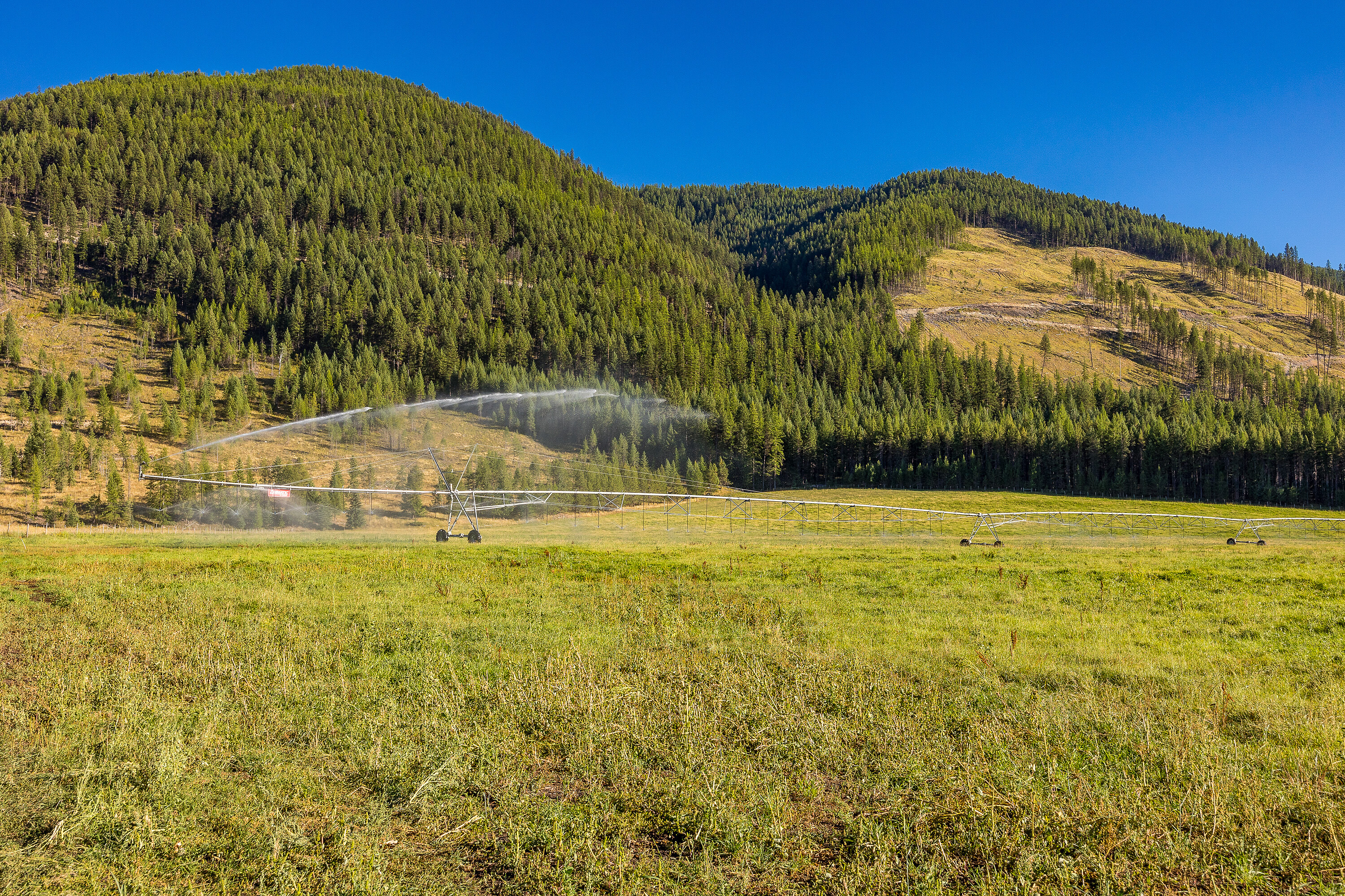  Buck Lake Ranch - 物件實景
