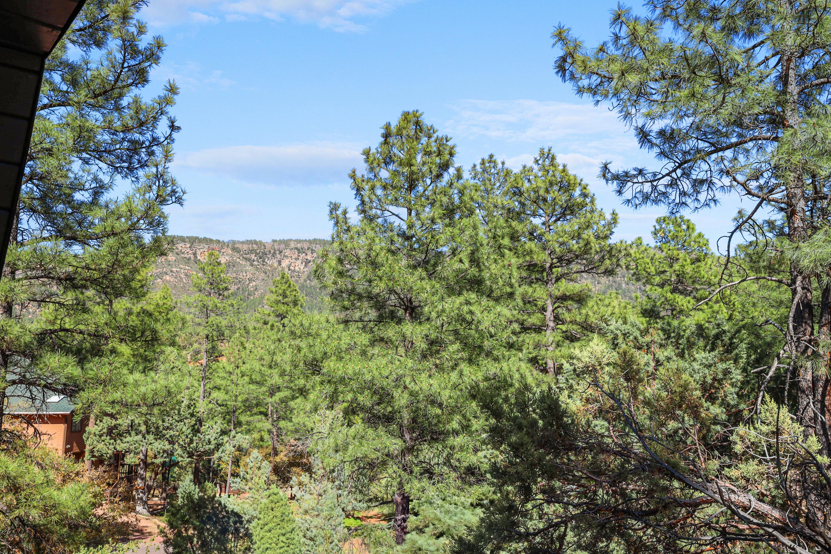 Pine, Arizona, 85544, United States, 2 Bedrooms Bedrooms, ,1 BathroomBathrooms,Residential,For Sale,1819700