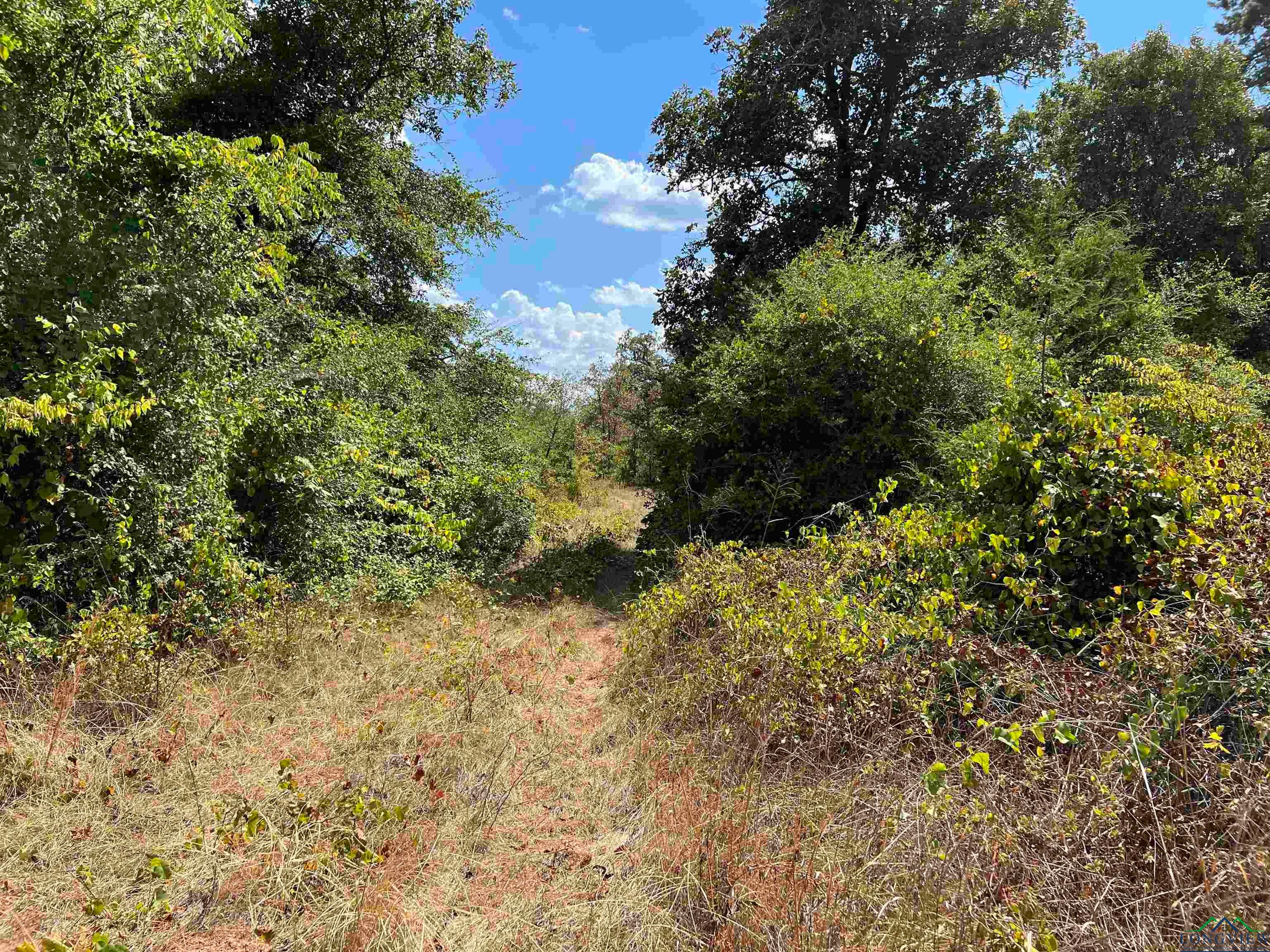 Harleton, Texas, 75651, United States, ,Residential,For Sale,1921436