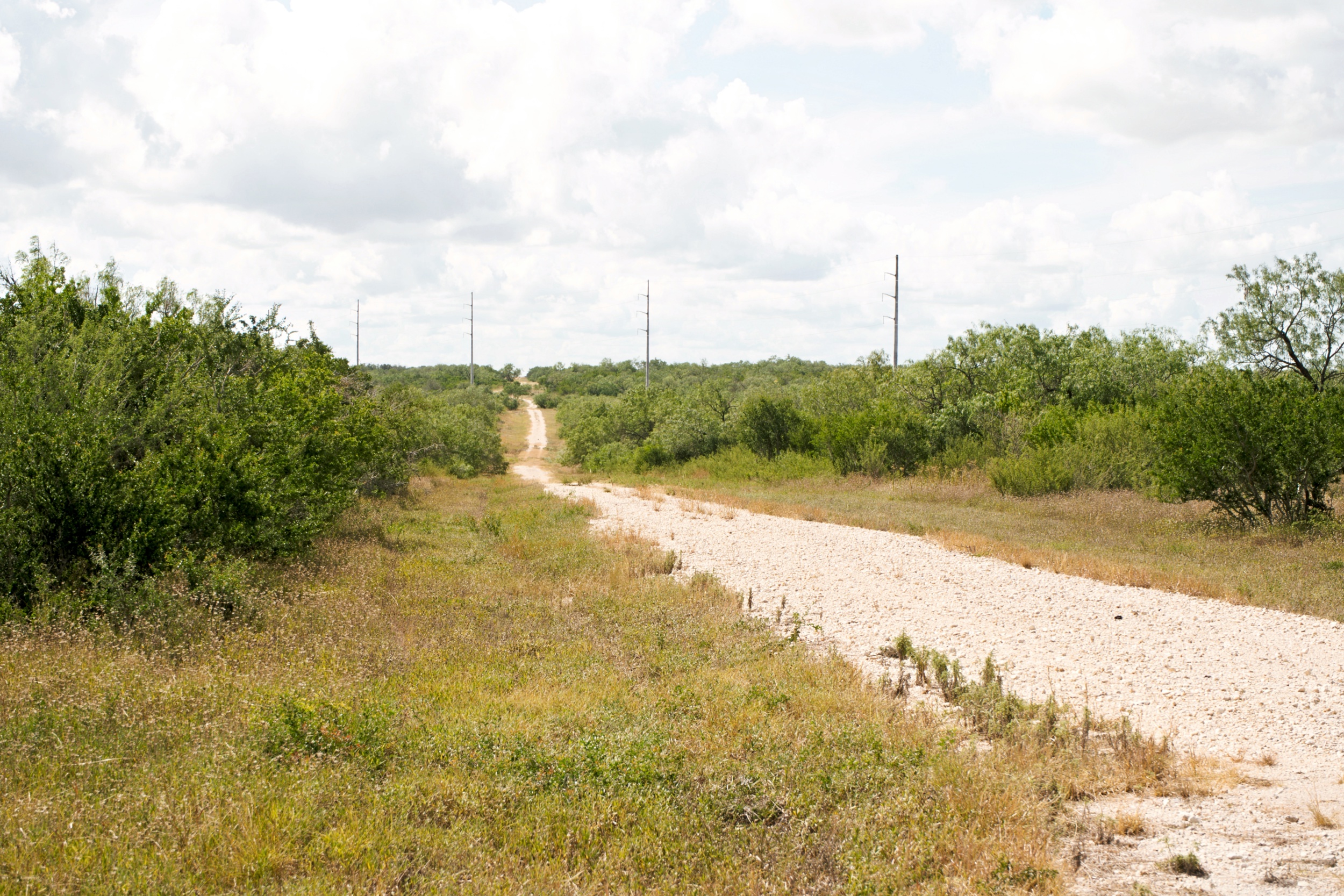  1234.89 +/- Acres, Santa Clara Ranch, Atascosa County, Falls City, TX 78113 - 物件實景