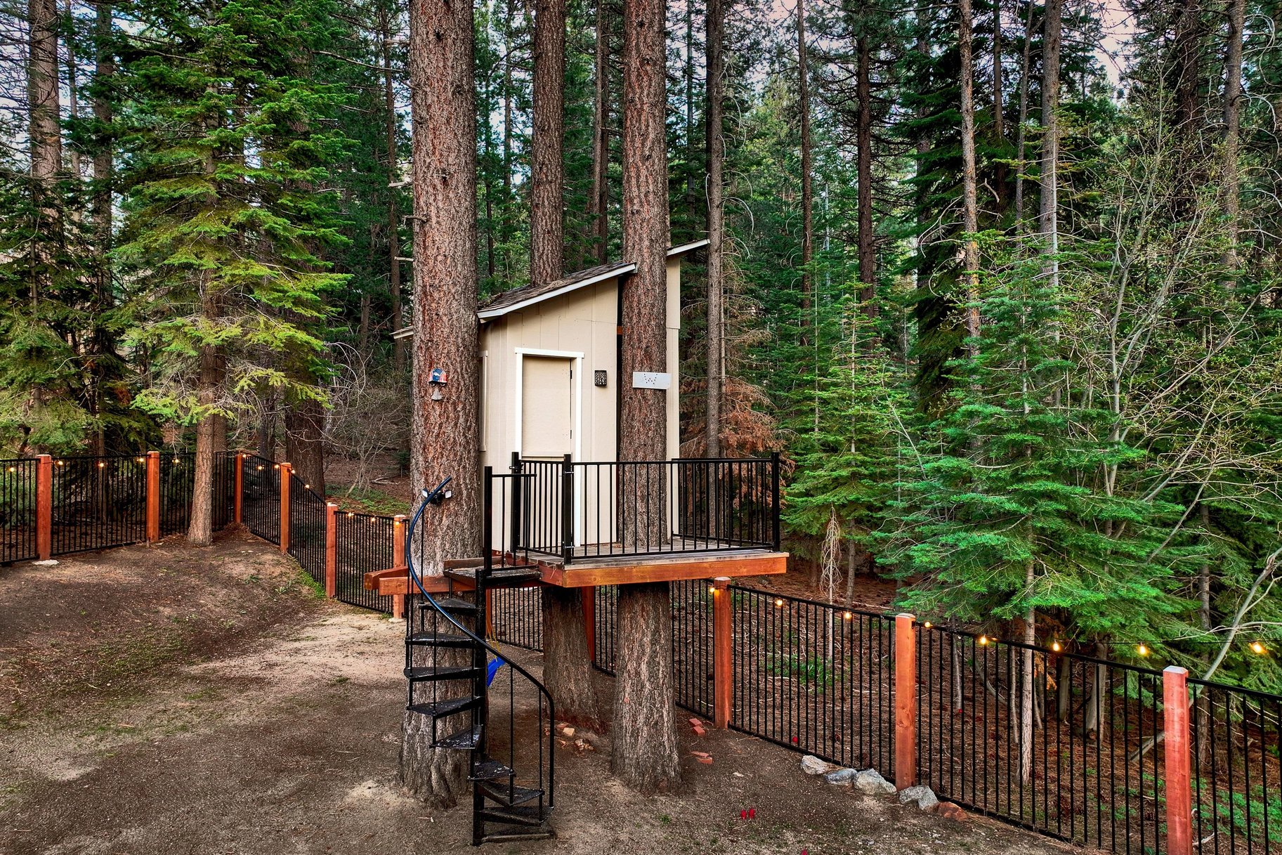  Move-In Ready 4 Bedroom Beauty  2022 Remodel  Fenced Yard, Forest Setting - 物件實景