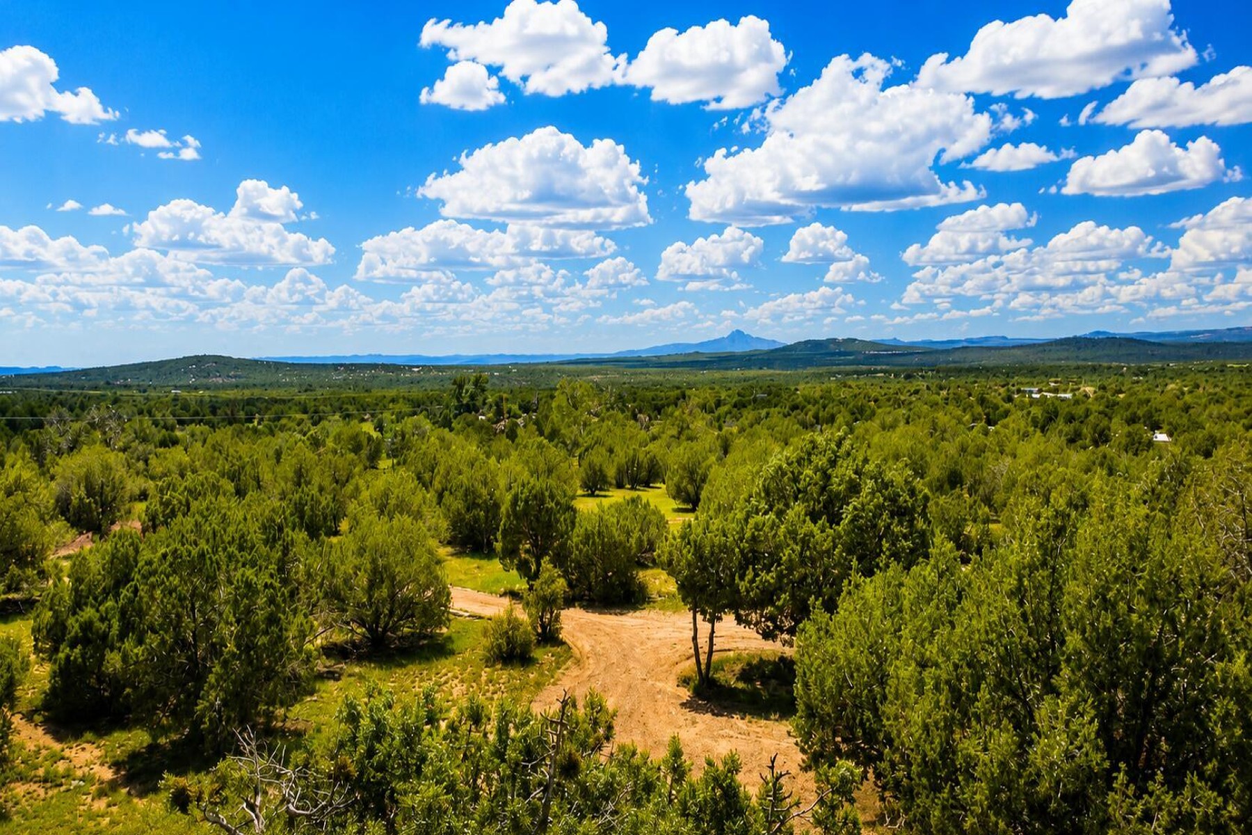  101 W Highland Street¦Williams, AZ - 物件實景