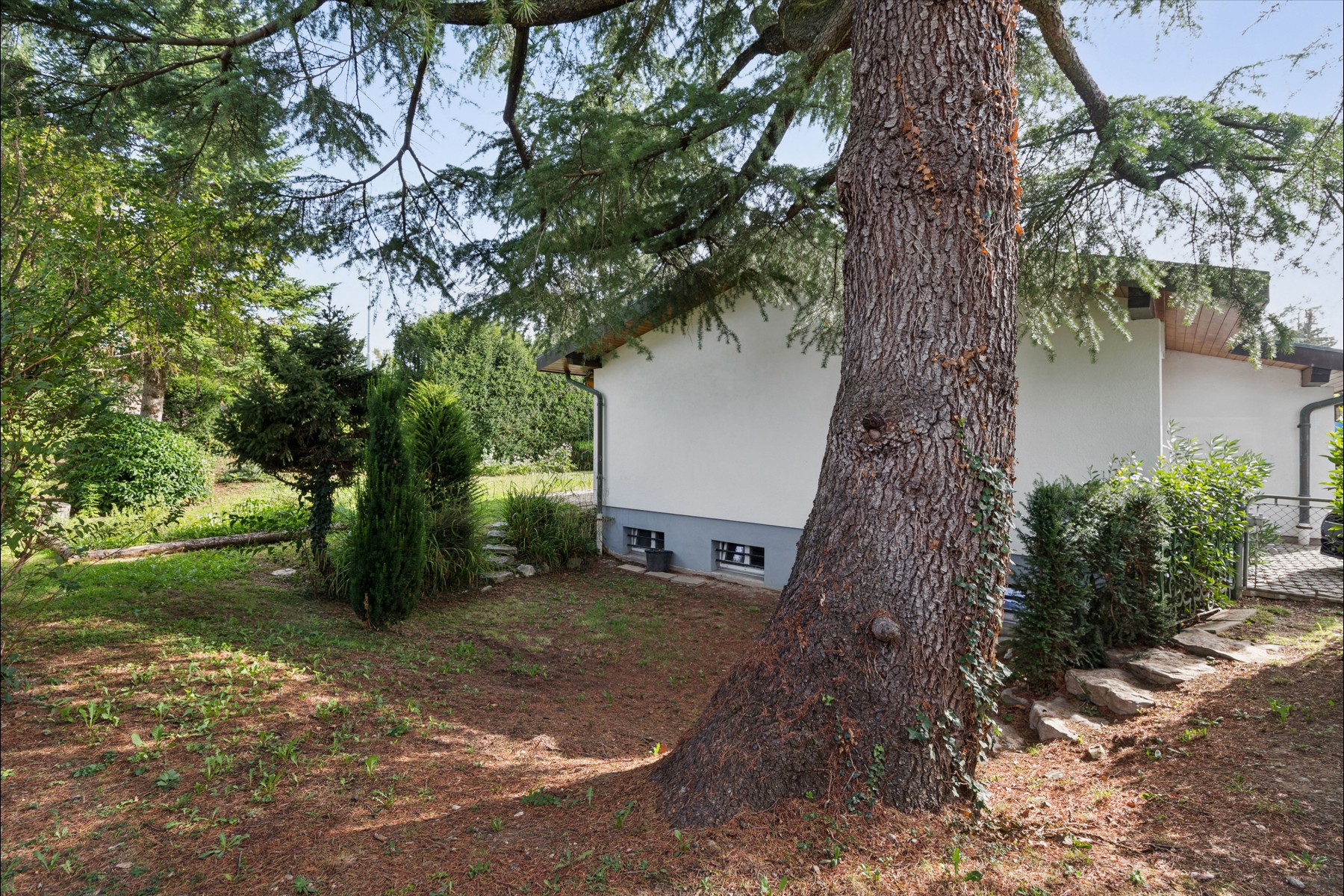  Single-story villa with a garden in need of renovation - 物件實景