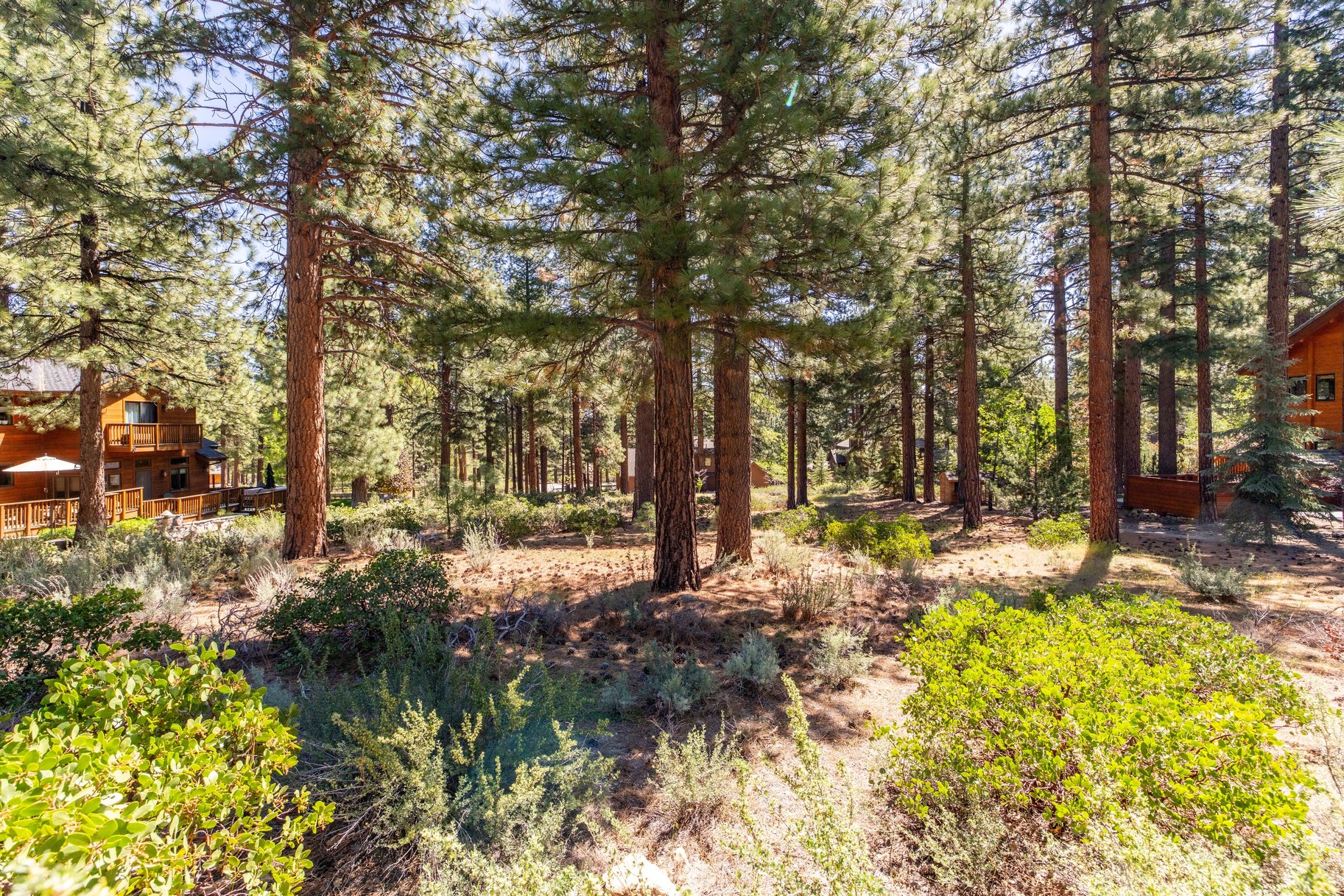  Private Galena Forest Parcel Near Mt. Rose with Pines & Tahoe Access - 物件實景