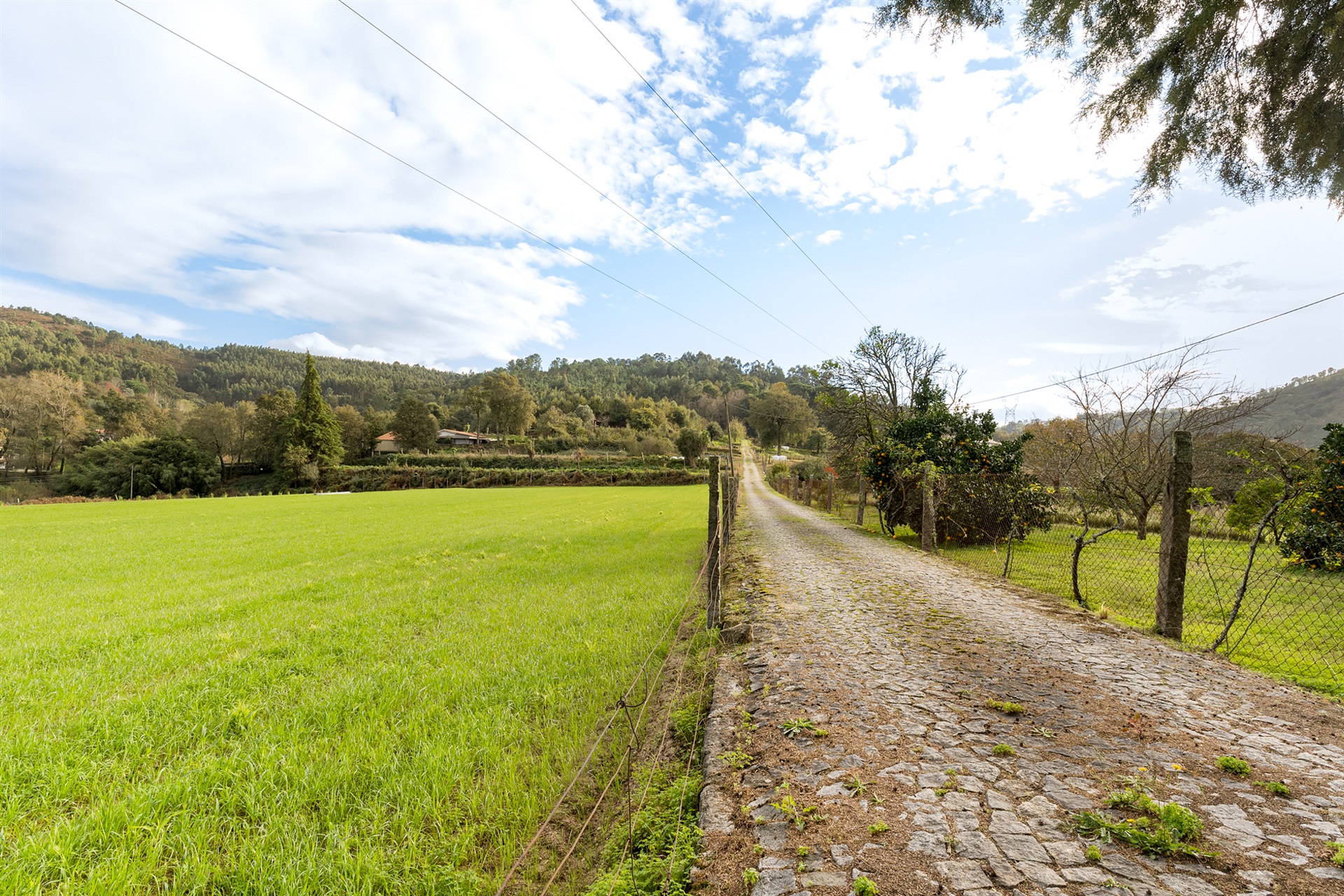  Farm, 6 bedrooms, for Sale - 物件實景