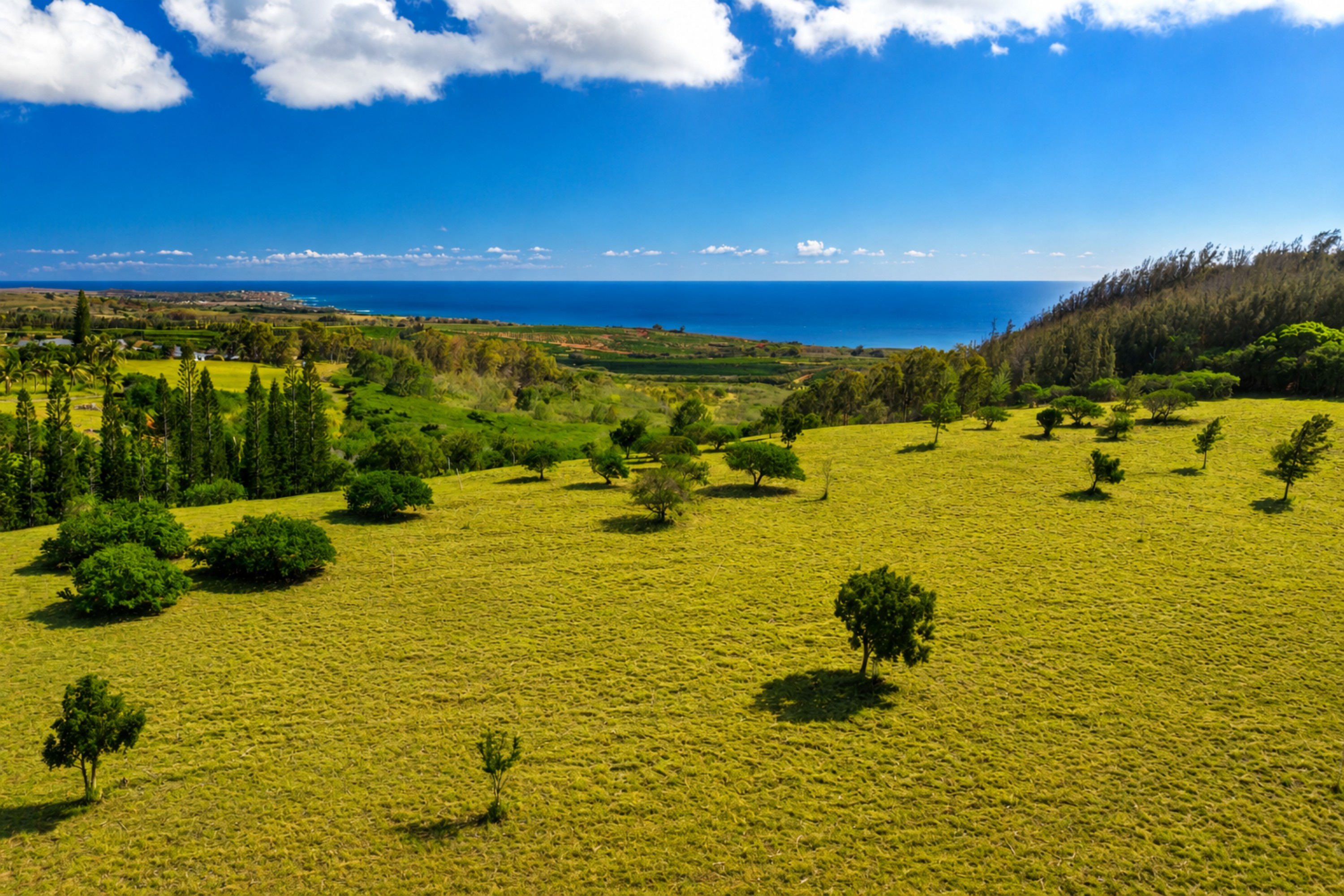  3 Lolo Road Kalaheo, HI, 96741 - 物件實景