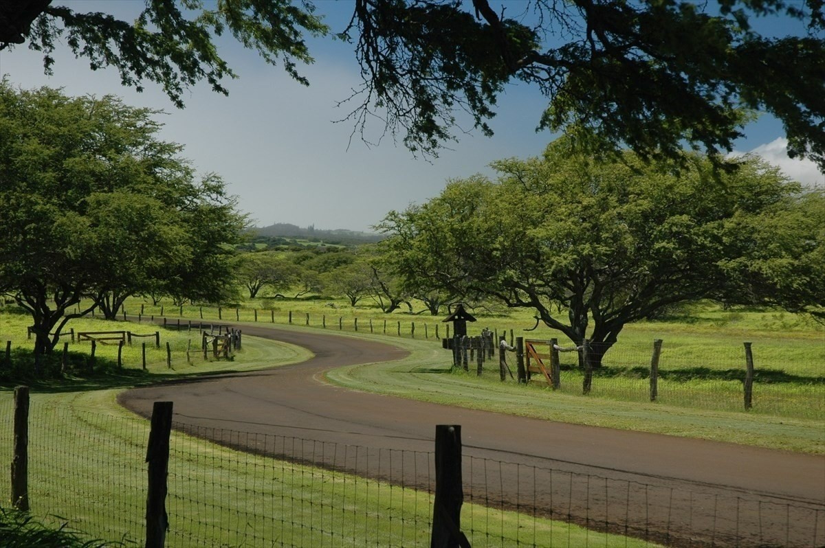 56-113 PUALANI ROAD, Hawi, Hawaii, 96719, United States, ,Land,For Sale,56-113 PUALANI ROAD,1642181