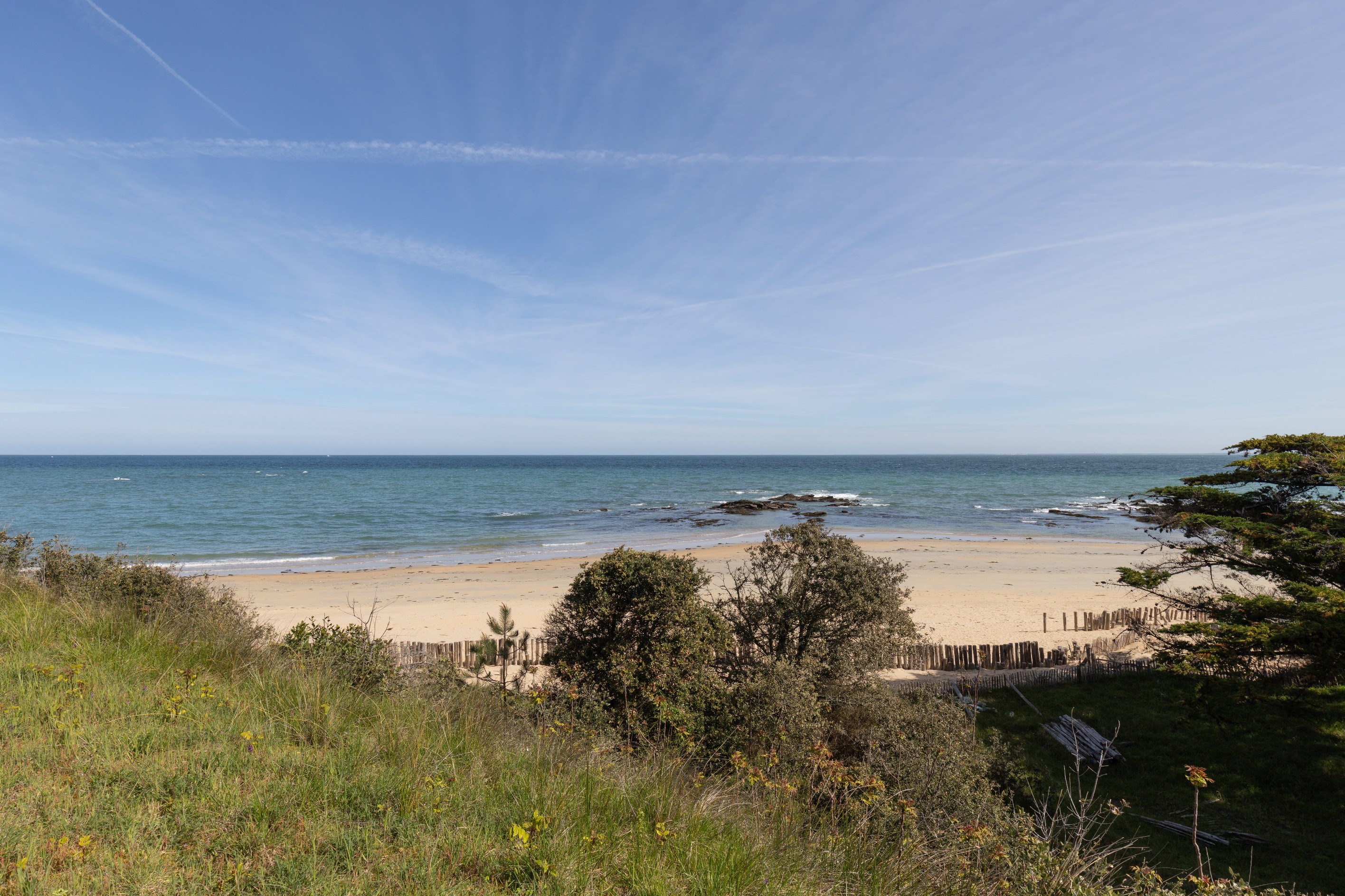  Maison - 物件實景