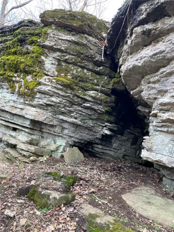 Berryville, Arkansas, 72616, United States, 6 Bedrooms Bedrooms, ,4 BathroomsBathrooms,Residential,For Sale,1988341