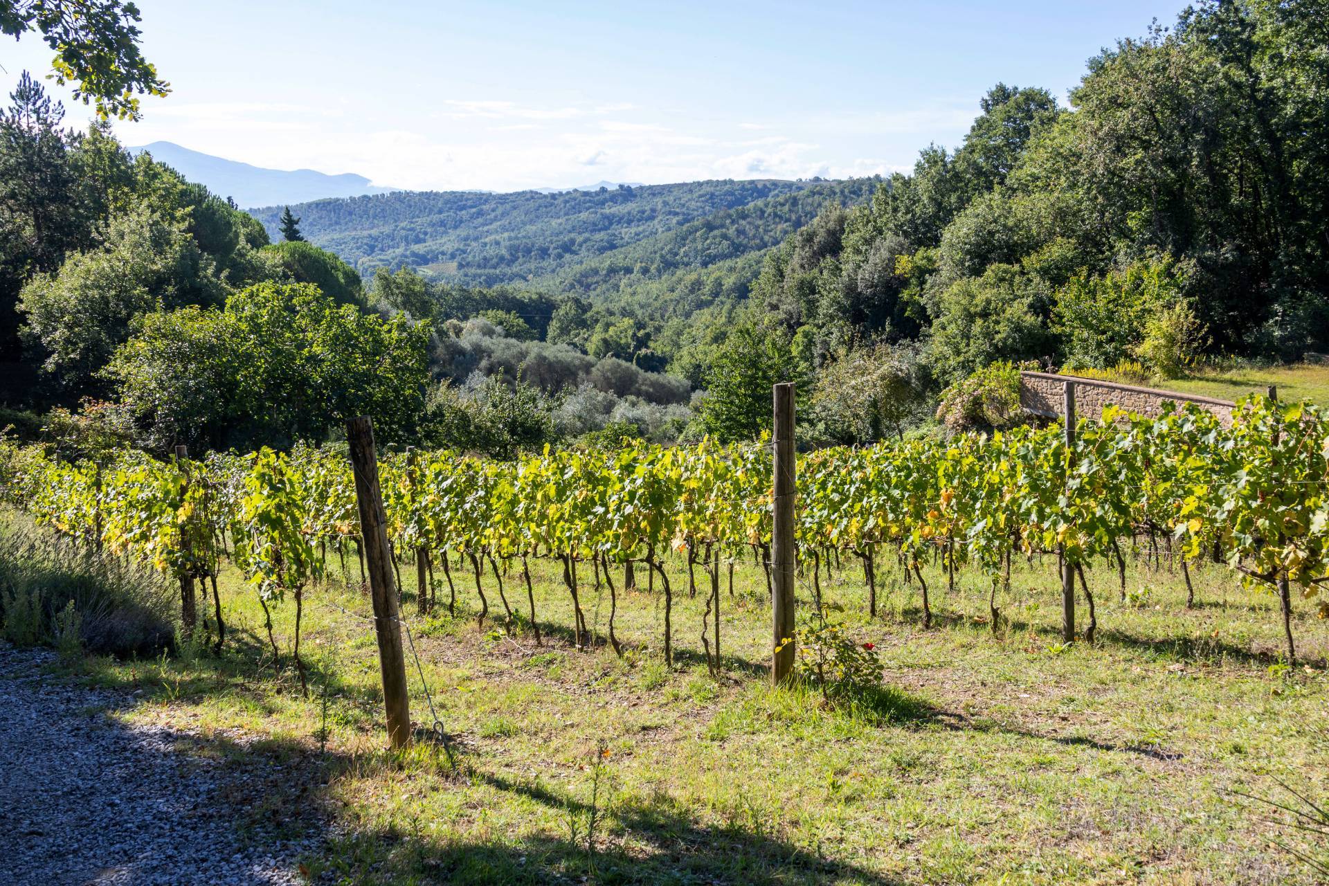 Montalcino, Siena, 53024, IT, ,Residential,For Sale,1991815