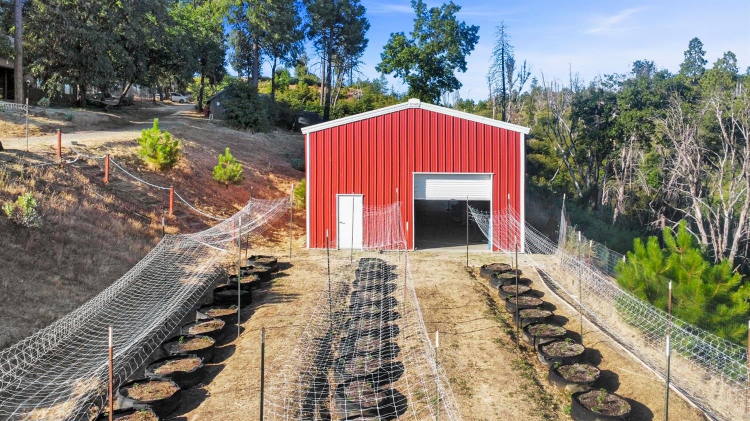 Mountain Ranch, California, 95246, United States, ,Land,For Sale,1981446