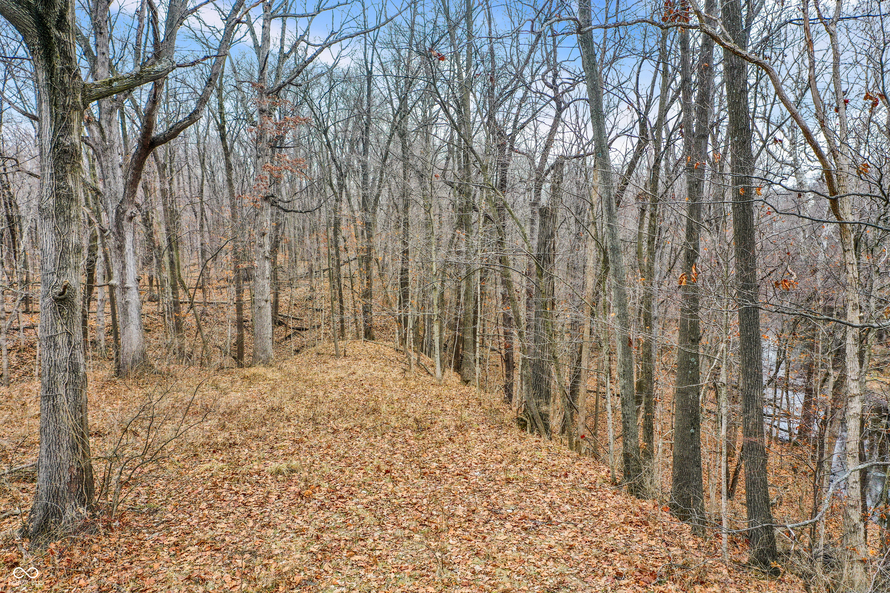 Arcadia, Indiana, 46030, United States, ,Residential,For Sale,2009642