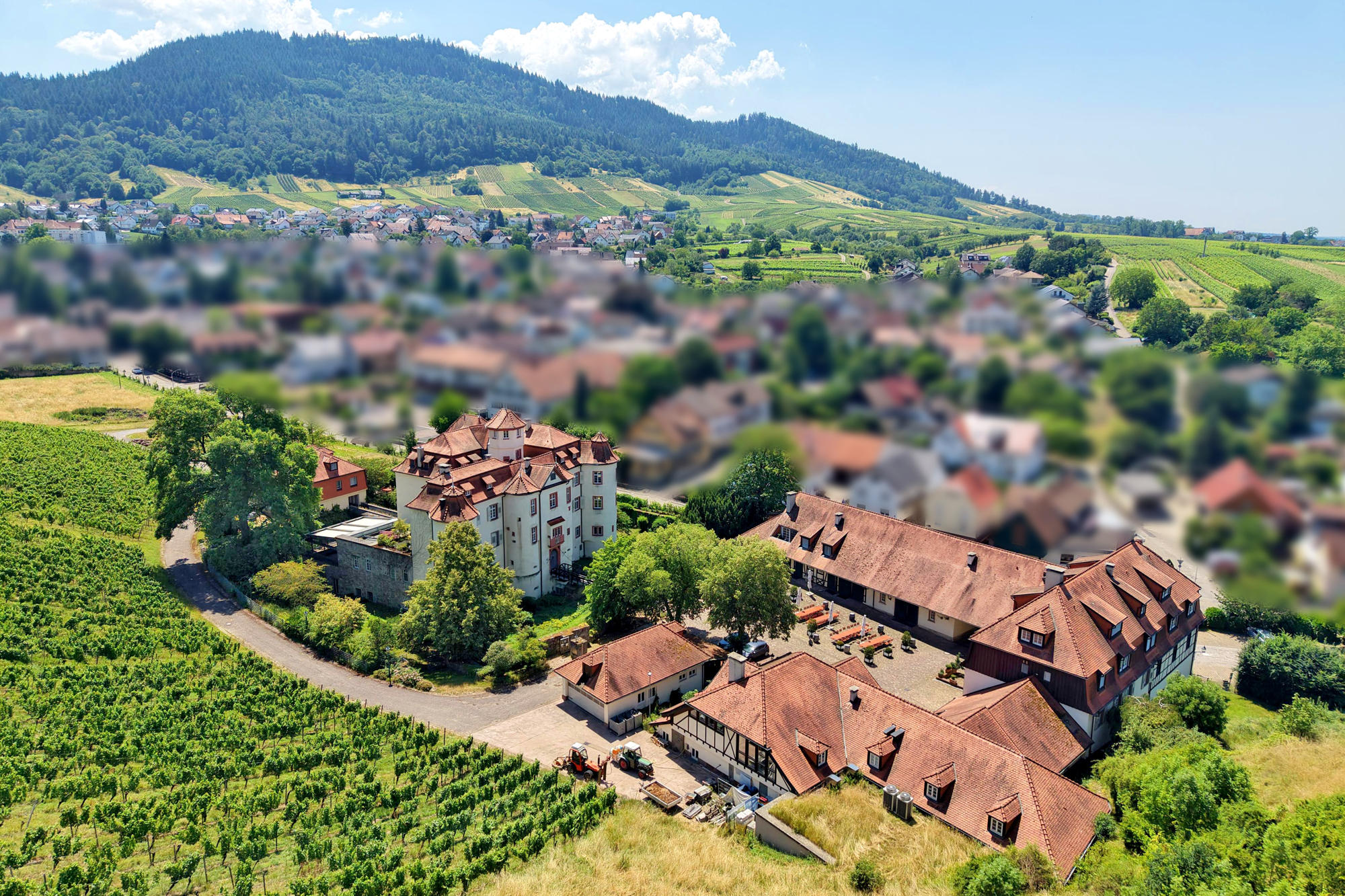  Neuweier Castle - Living and Working on a Historic Winery Estate - 物件實景