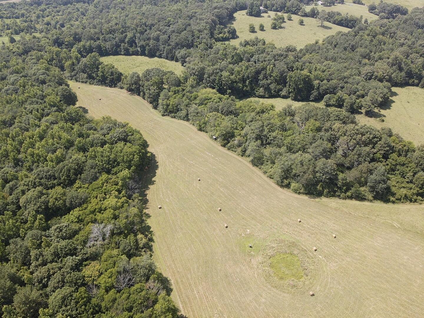 Bryant, Alabama, 35958, United States, ,Land,For Sale,1982684