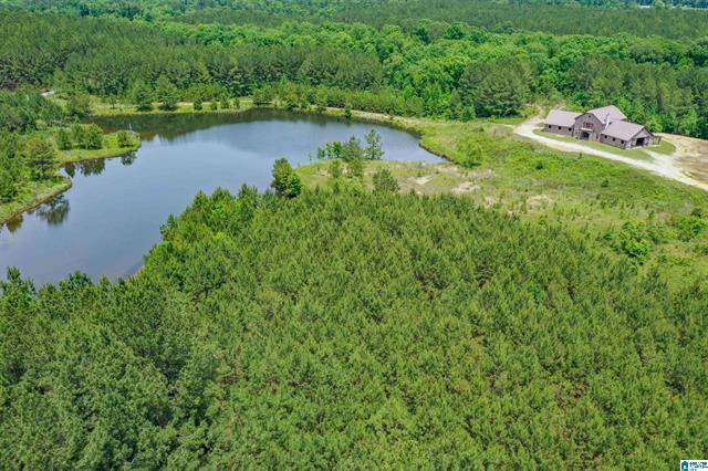 Columbiana, Alabama, 35051, United States, 3 Bedrooms Bedrooms, ,2 BathroomsBathrooms,Residential,For Sale,1975847