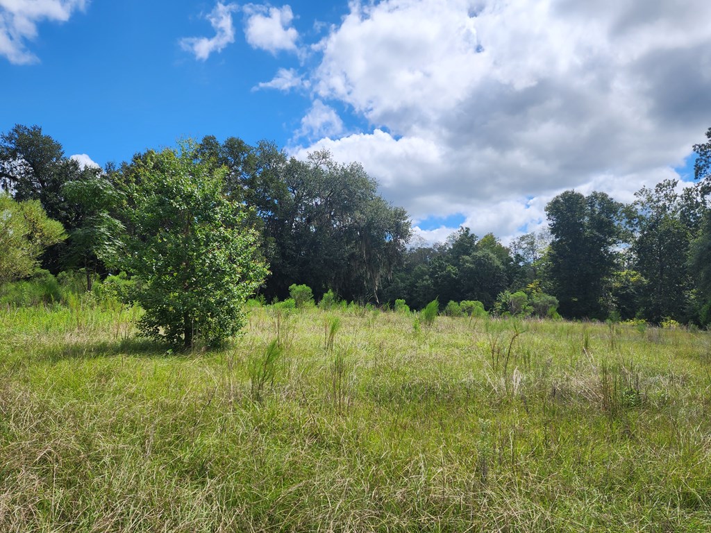 Pansey, Alabama, 36370, United States, 3 Bedrooms Bedrooms, ,3 BathroomsBathrooms,Residential,For Sale,1943922