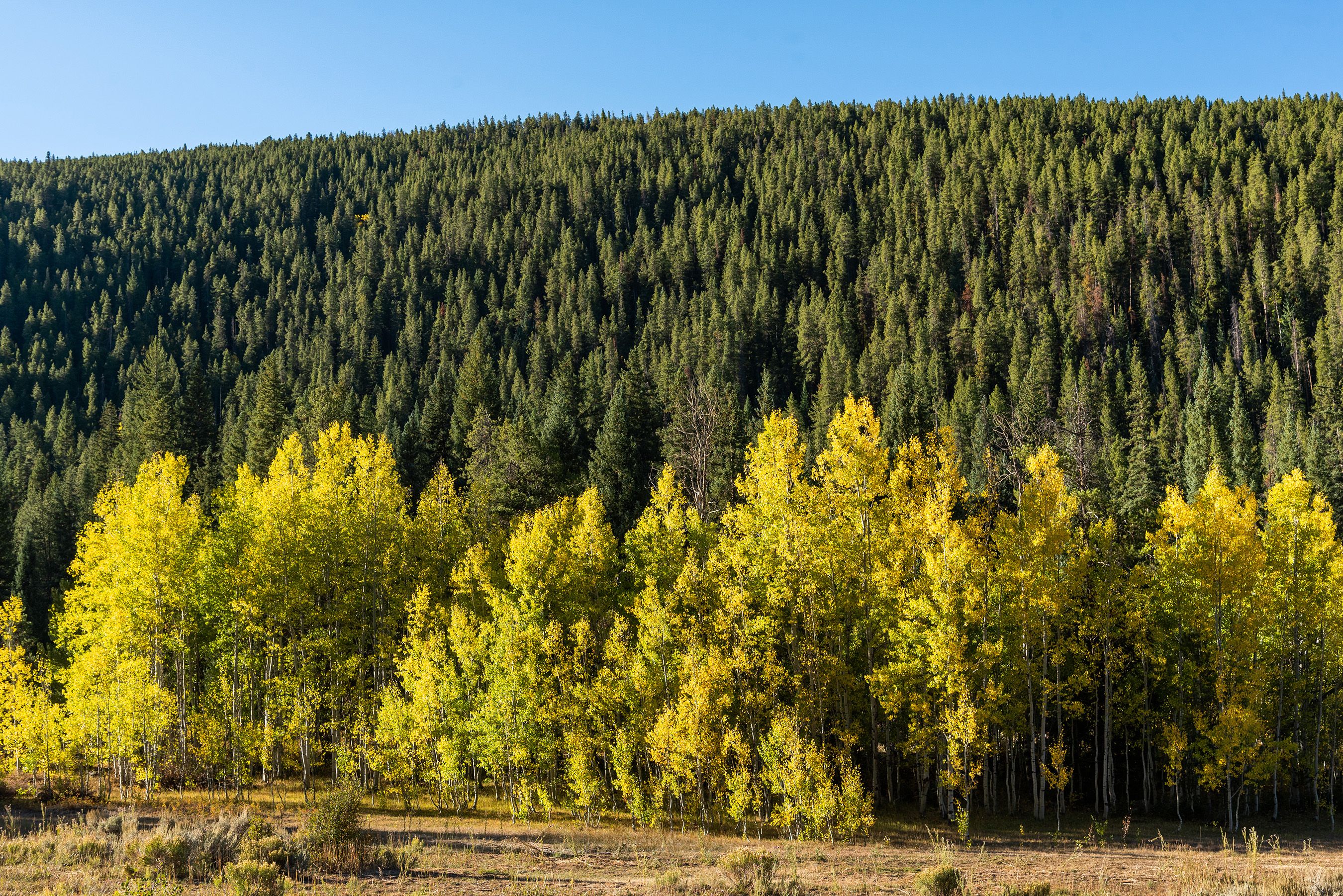  2450 North Fork Road, Meredith, CO, 81642 - 物件實景
