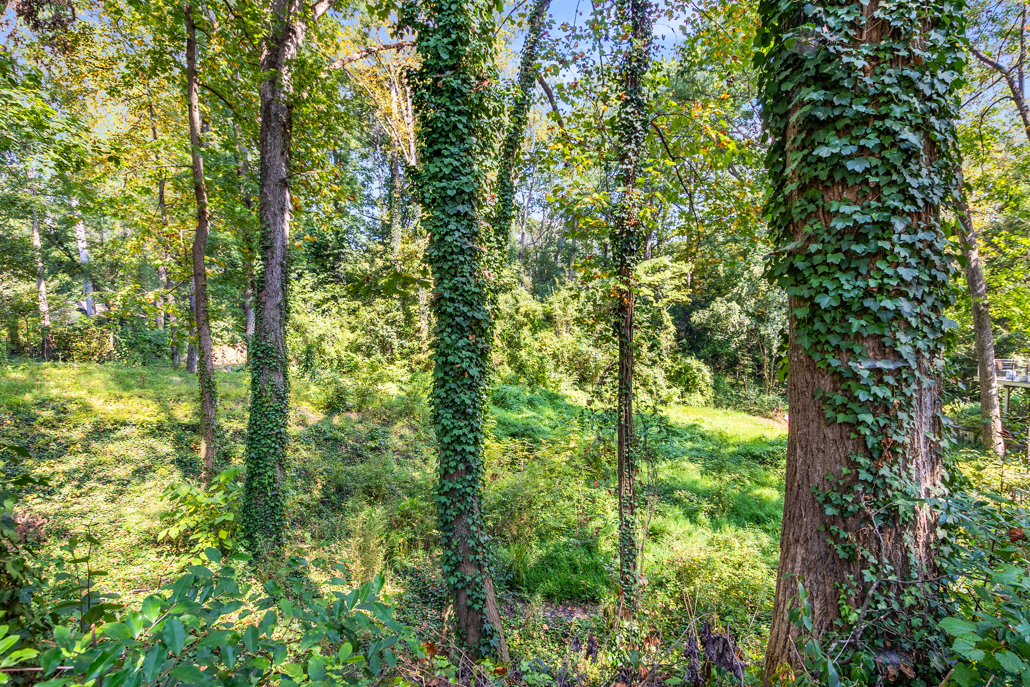  Three Contiguous Lots for New Construction in Historic Druid Hills - 物件實景