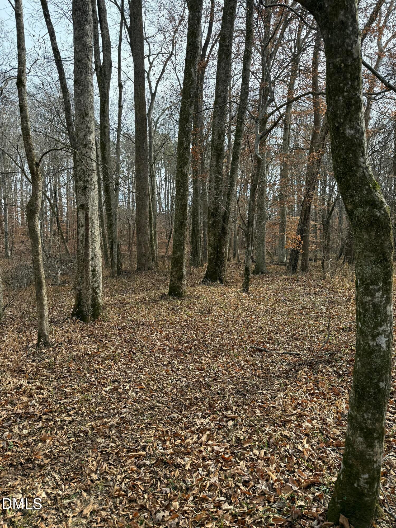 Oxford, North Carolina, 27565, United States, ,Land,For Sale,2000467