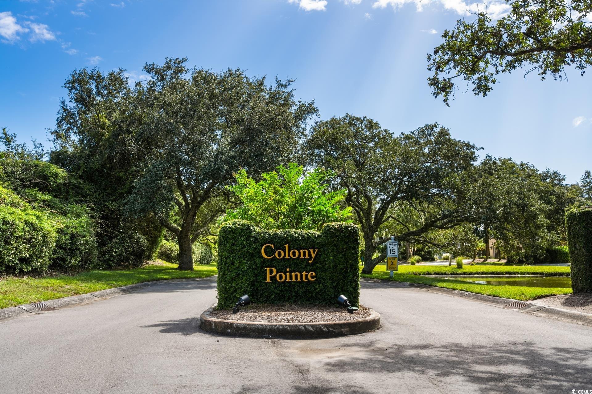  160 Colony Pointe Drive  DeBordieu Colony - 物件實景
