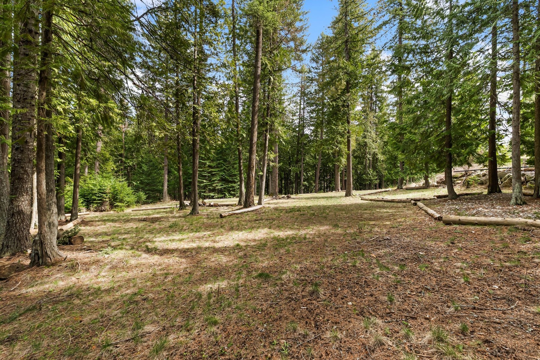  Tree Farm & Home on 6+ Acres - 物件實景