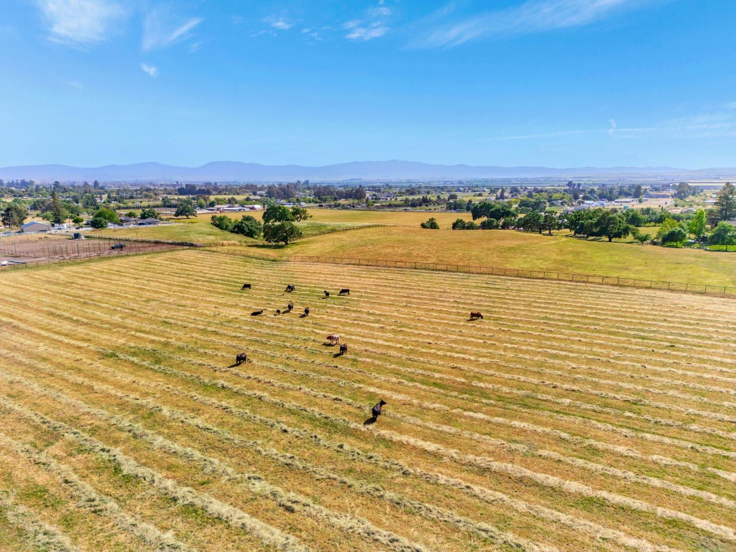 Hollister, California, 95023, United States, ,Land,For Sale,1819705