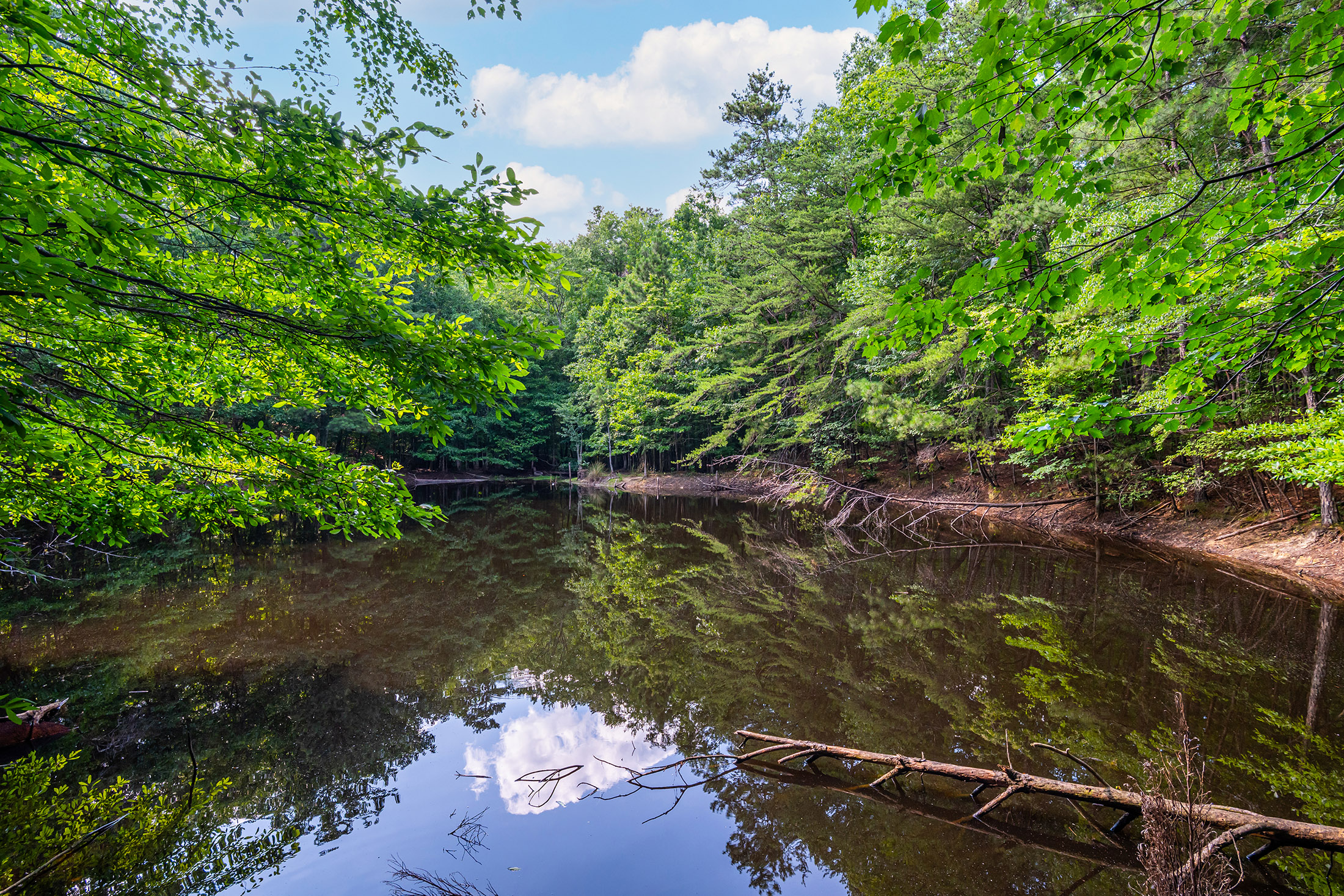  Extraordinary 11.48-Acre Estate in the Heart of East Cobb - 物件實景