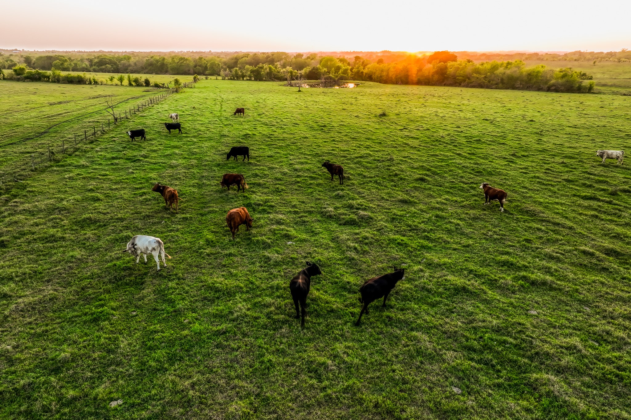  20751 Fm 1155, Washington, TX, 77880 - 物件實景