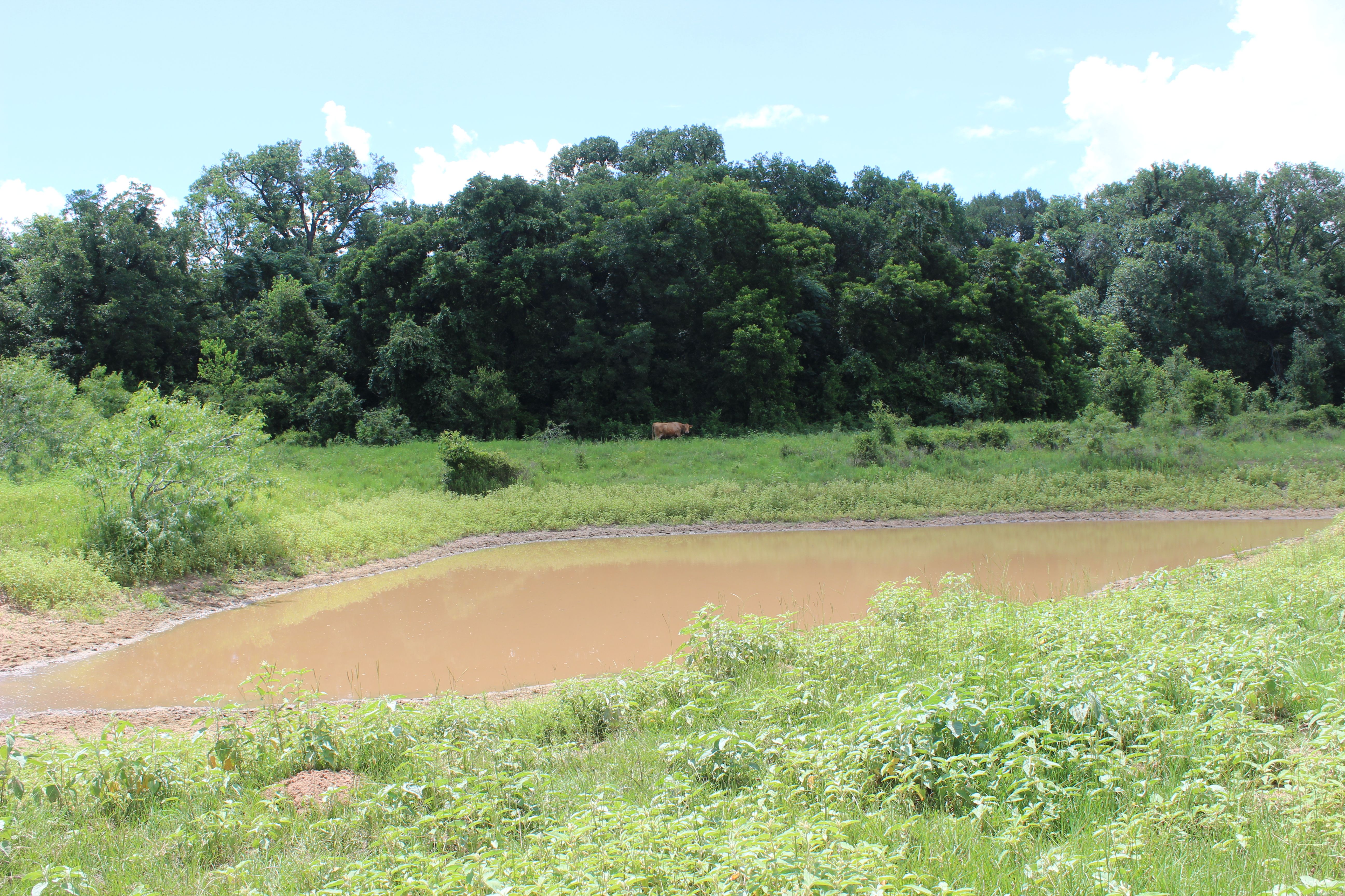  Buck Branch Ranch - 物件實景