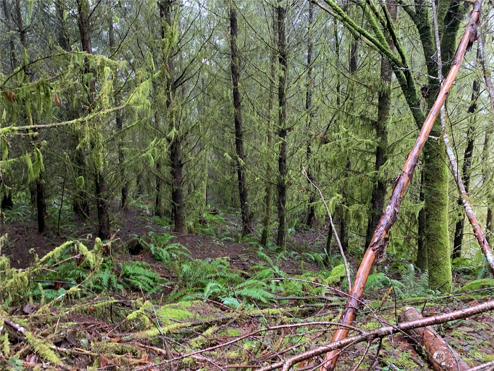0 Fallert Road, Kalama, Washington, 98625, United States, ,Land,For Sale,0 Fallert Road,1273199