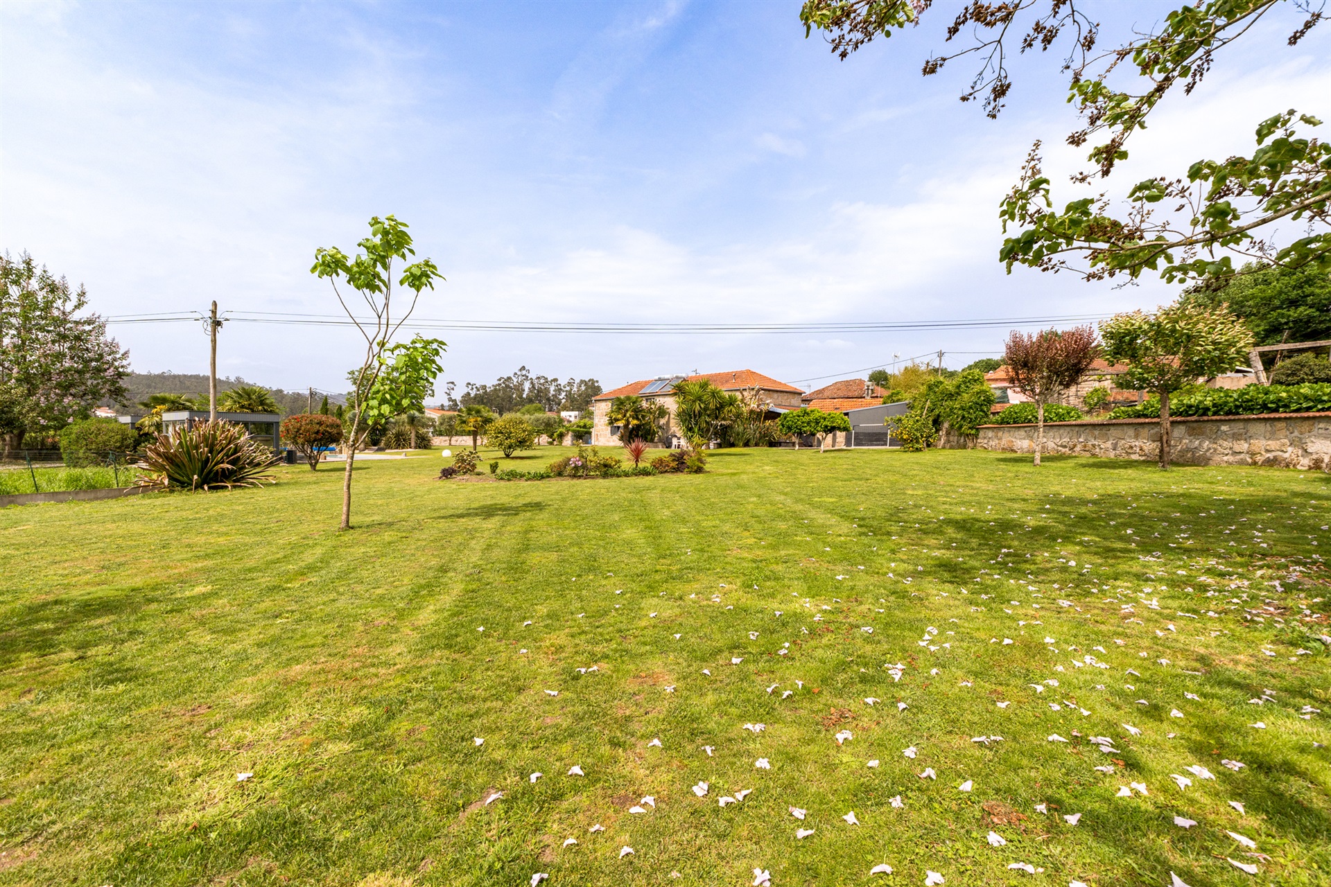  Country house, 6 bedrooms, for Sale - 物件實景