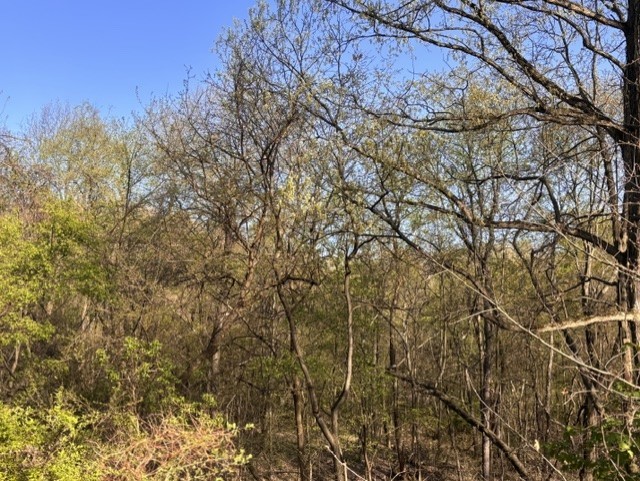 Penn Twp - BUT, Pennsylvania, 16002, United States, ,Residential,For Sale,1794987